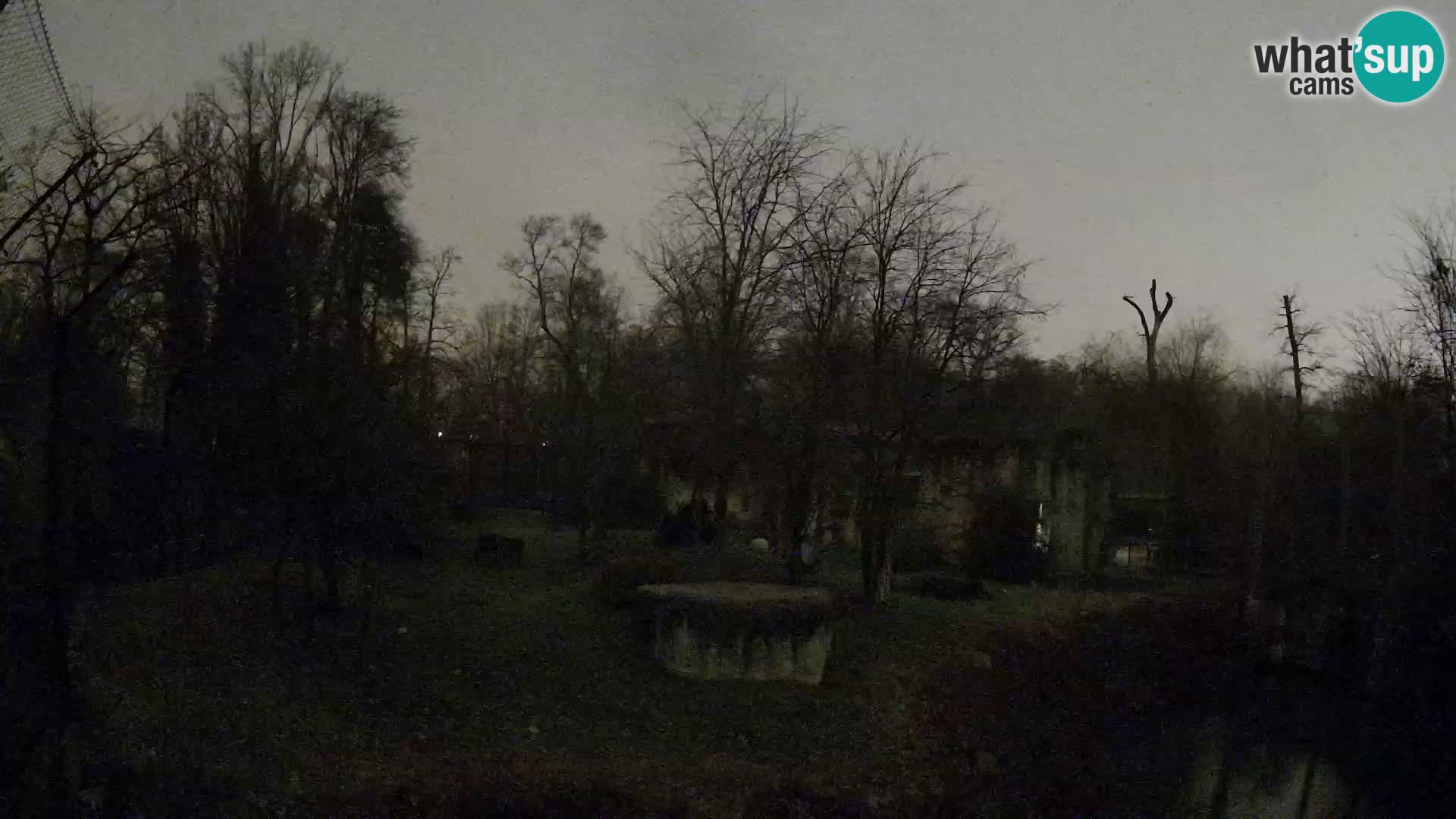 Zoo Zagreb – Leoni