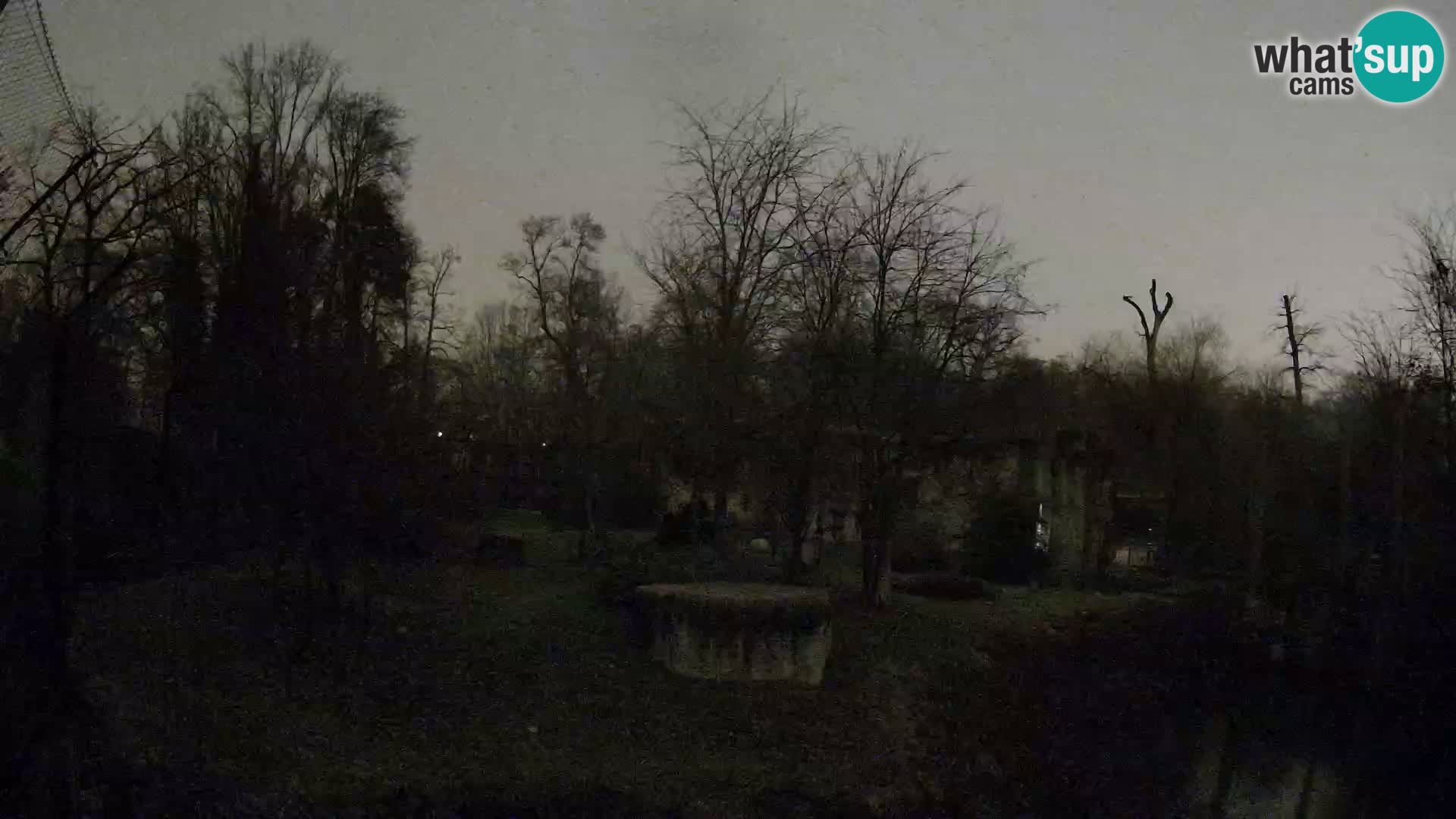 Zoo Zagreb – Leoni