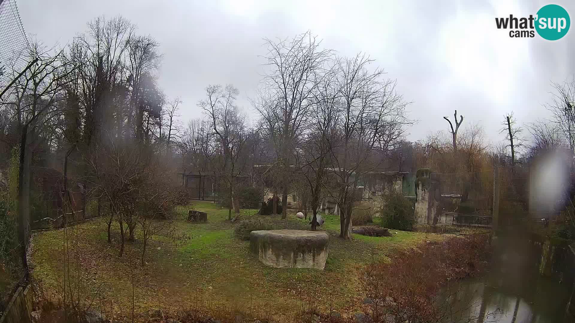 Zoo Zagreb – Leoni