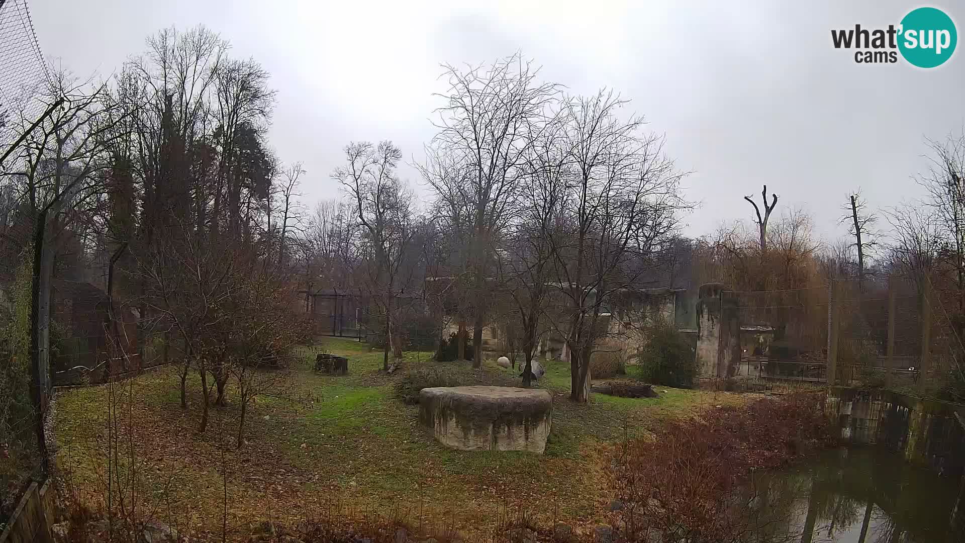 Zoo Zagreb – Löwen