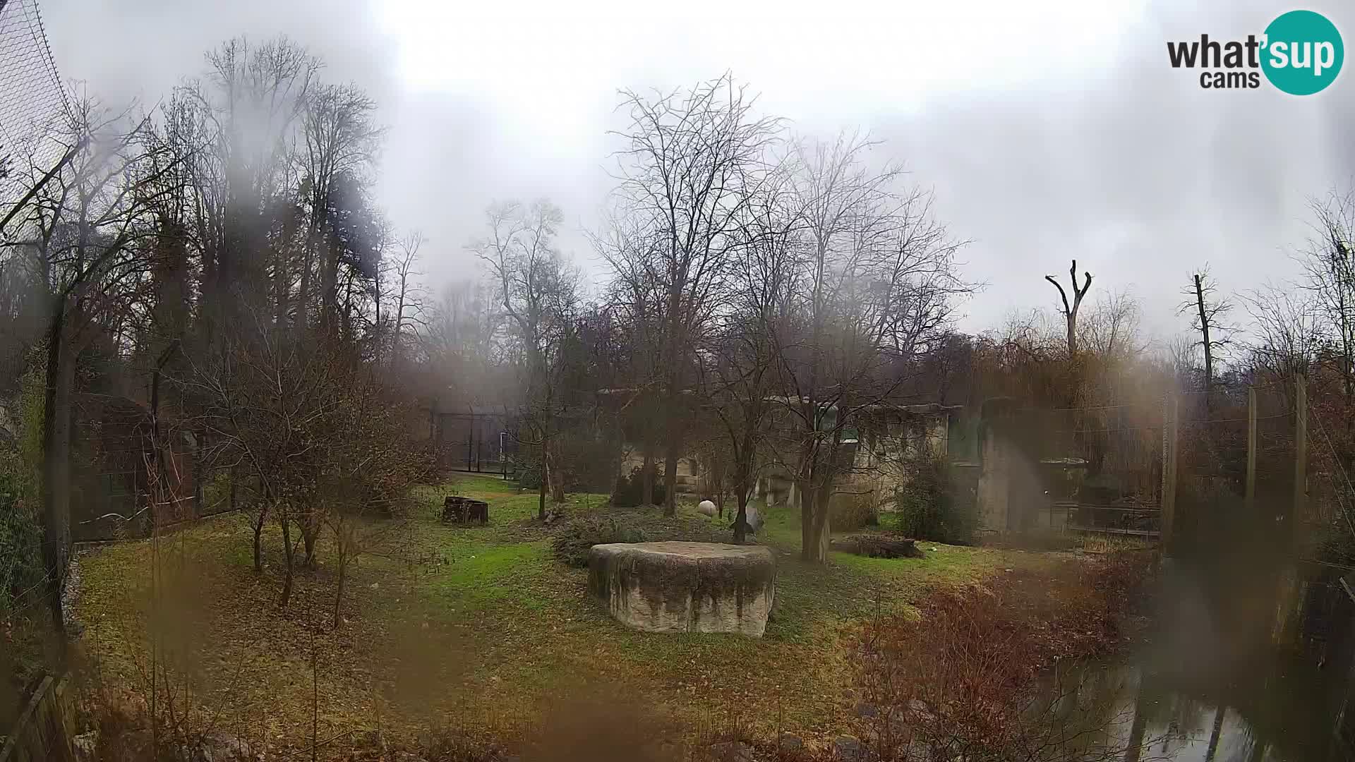 Zoo Zagreb – Löwen