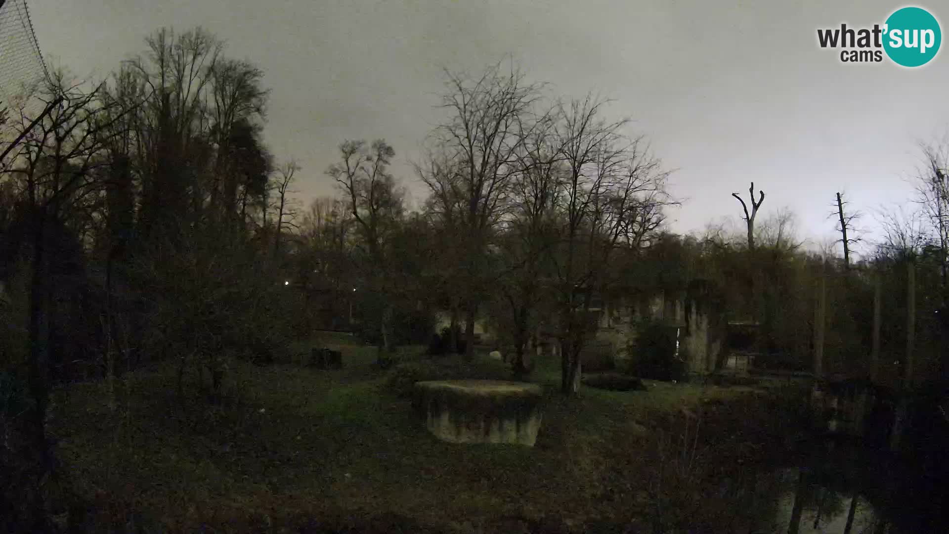 Zoo Zagreb – Leones