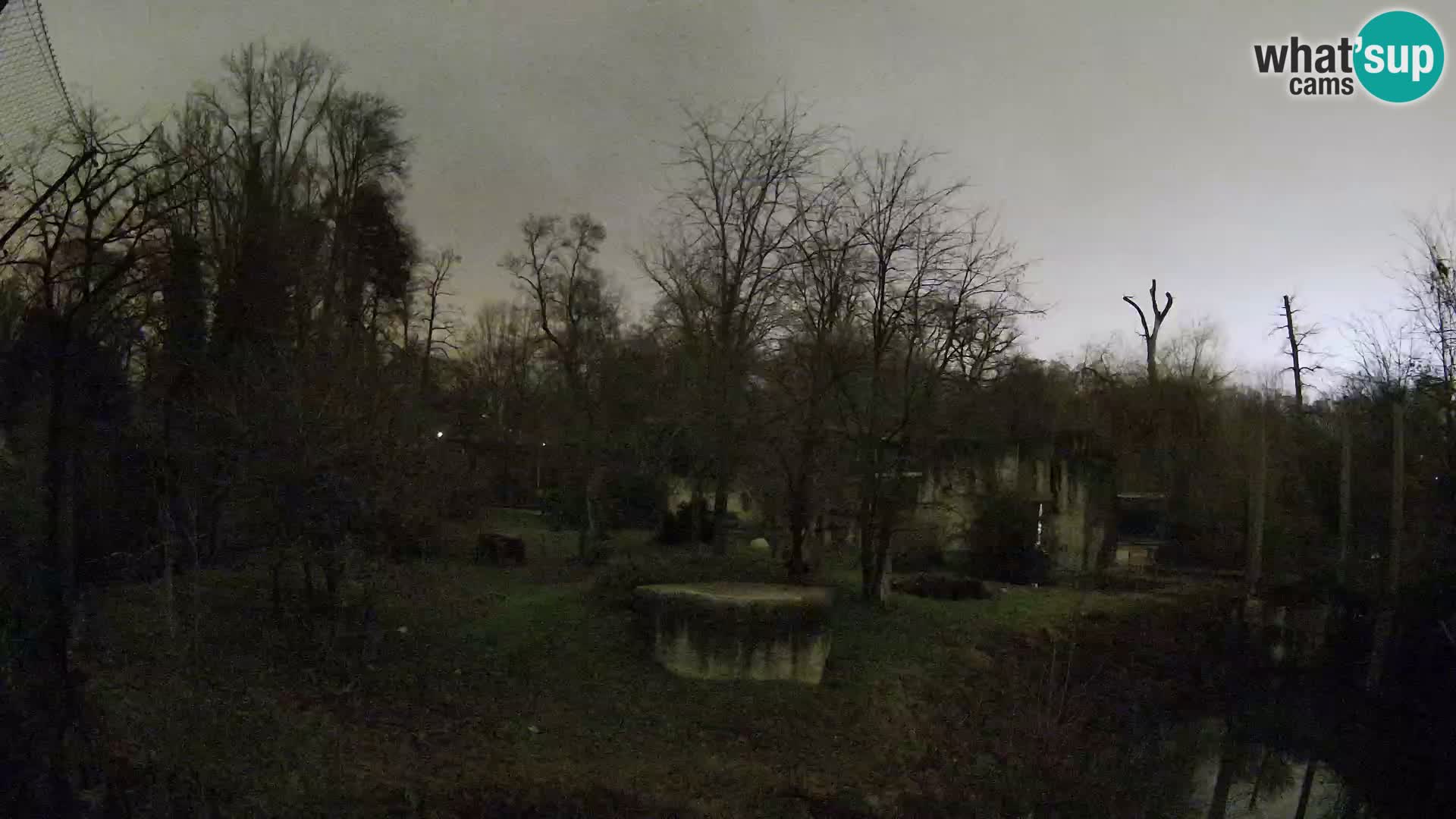 Zoo Zagreb – Löwen