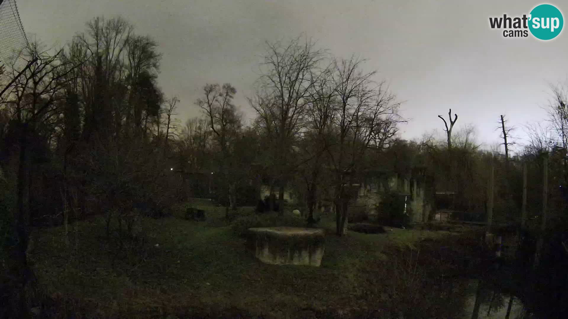 Zoo Zagreb – Löwen