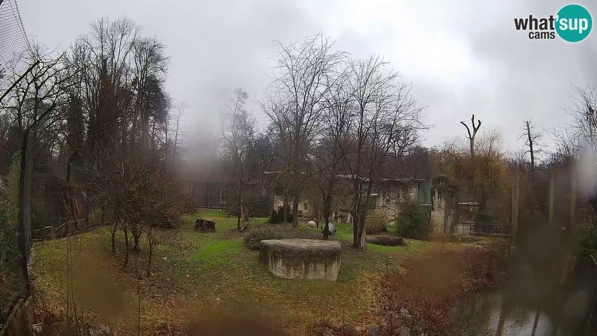 Zoo Zagreb – Löwen