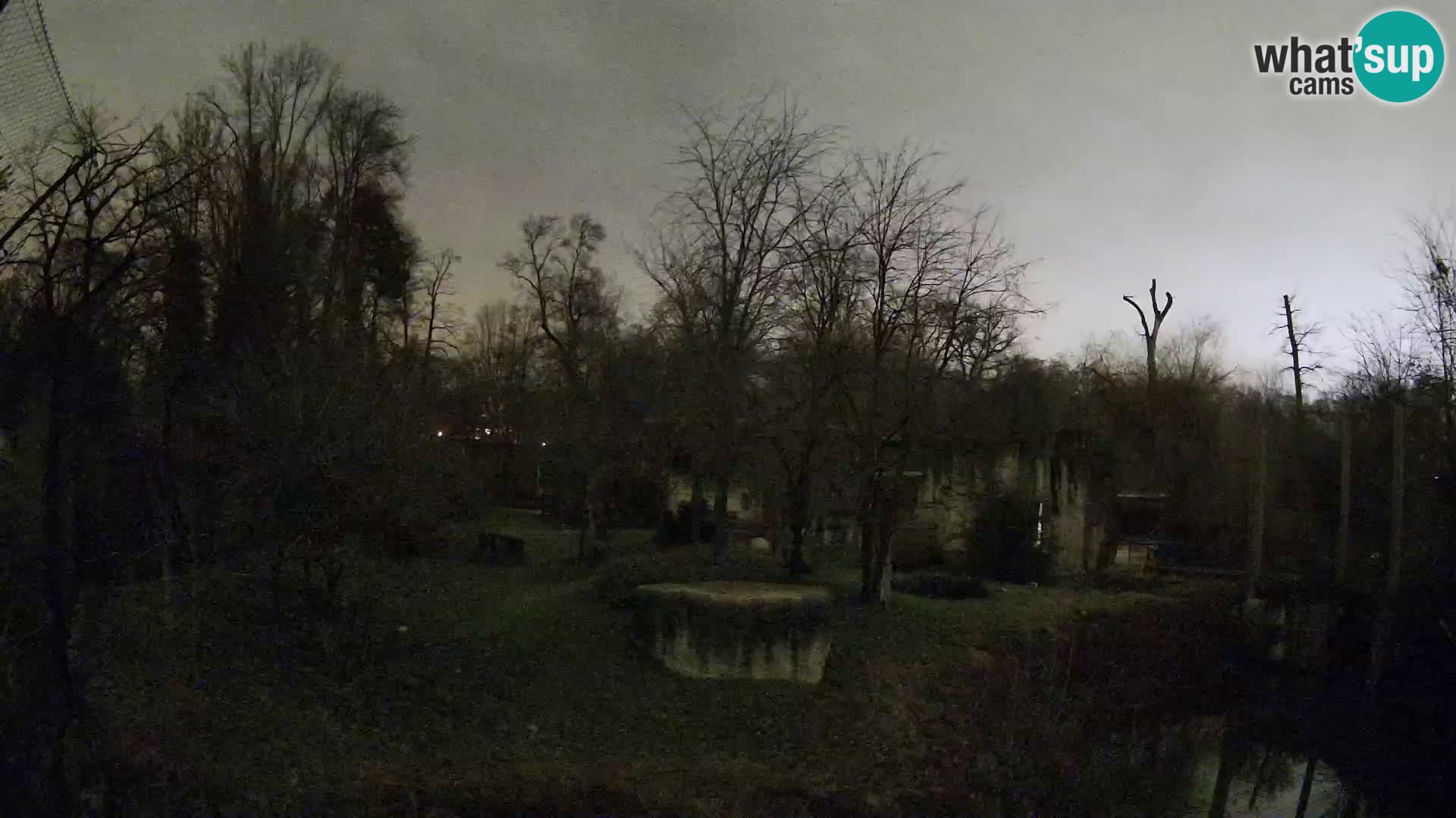 Zoo Zagreb – Lavovi