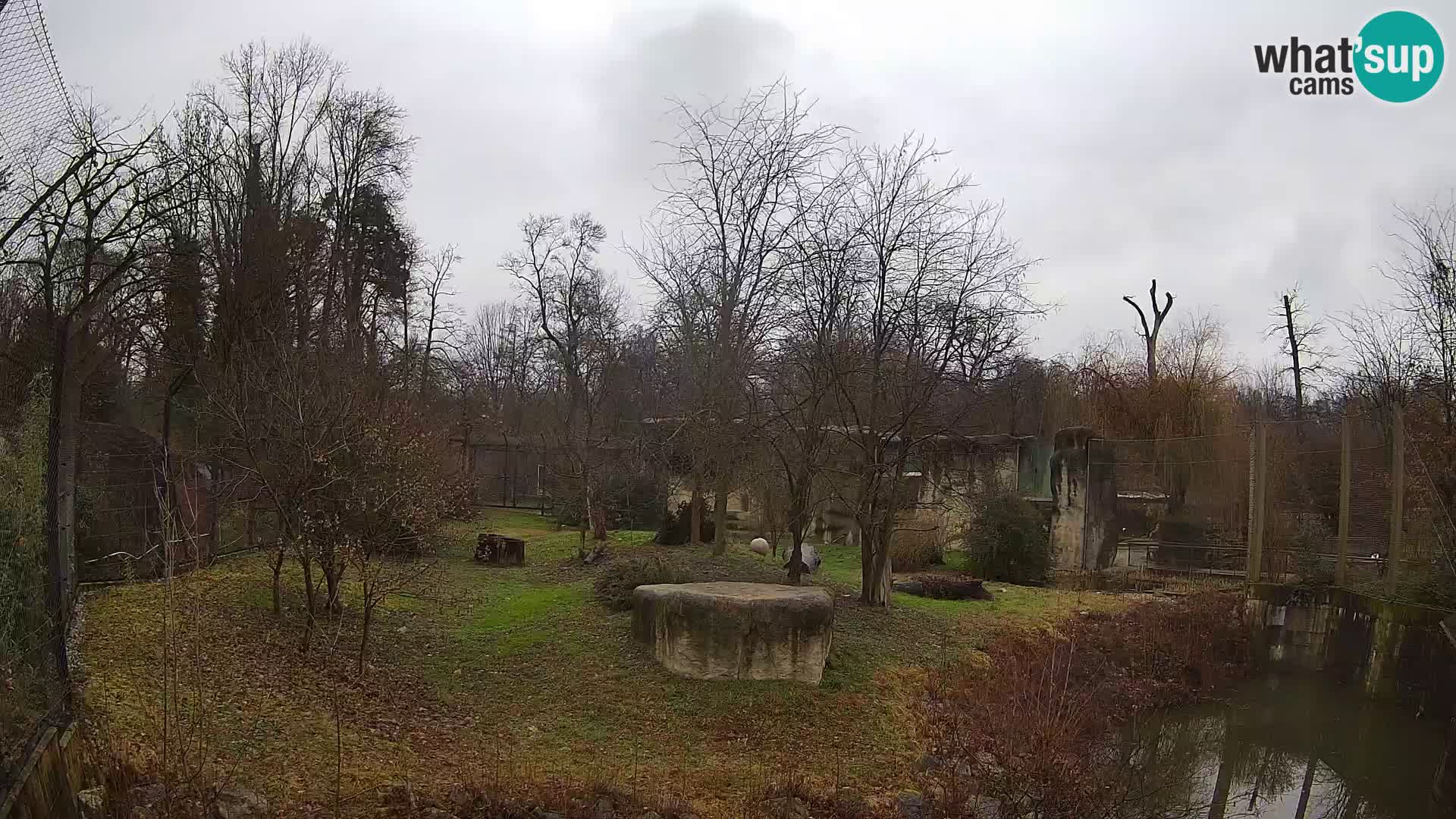 Zoo Zagreb – Leones