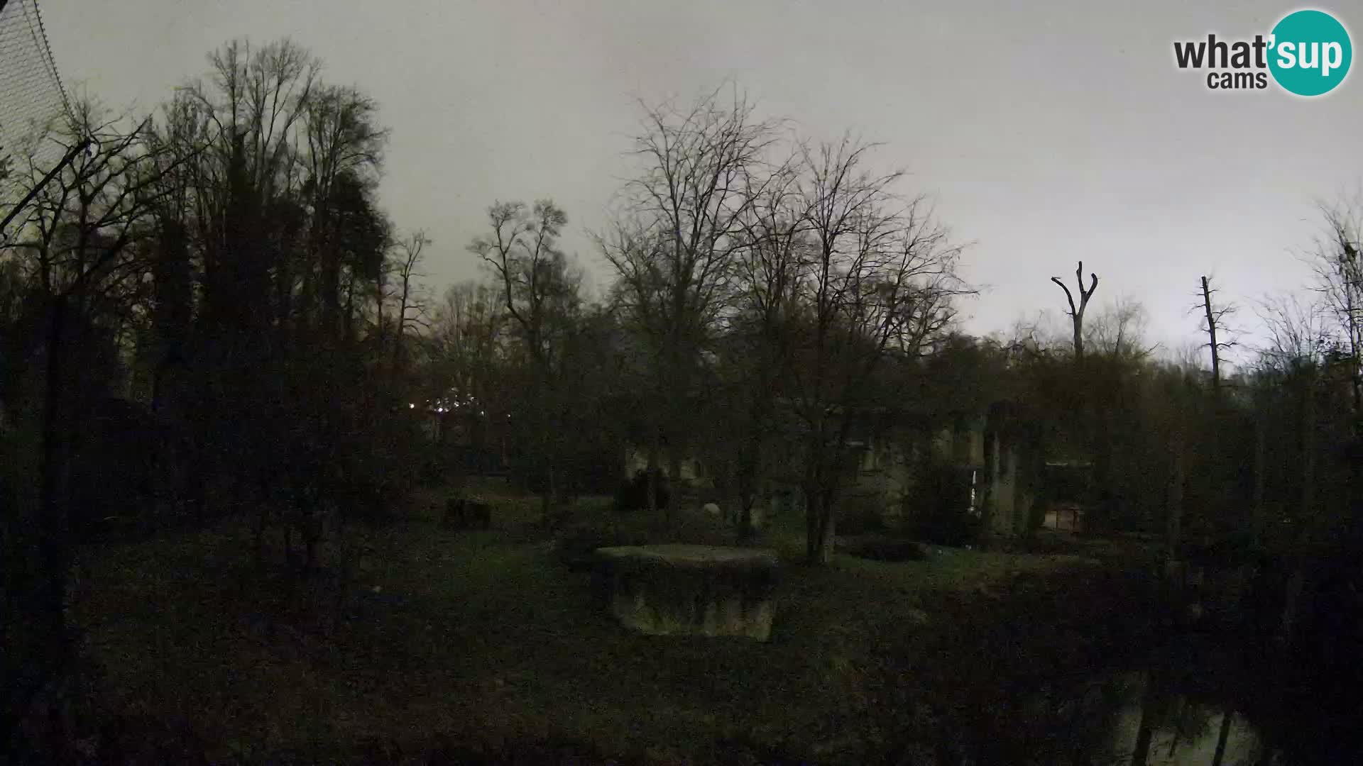 Zoo Zagreb – Leones