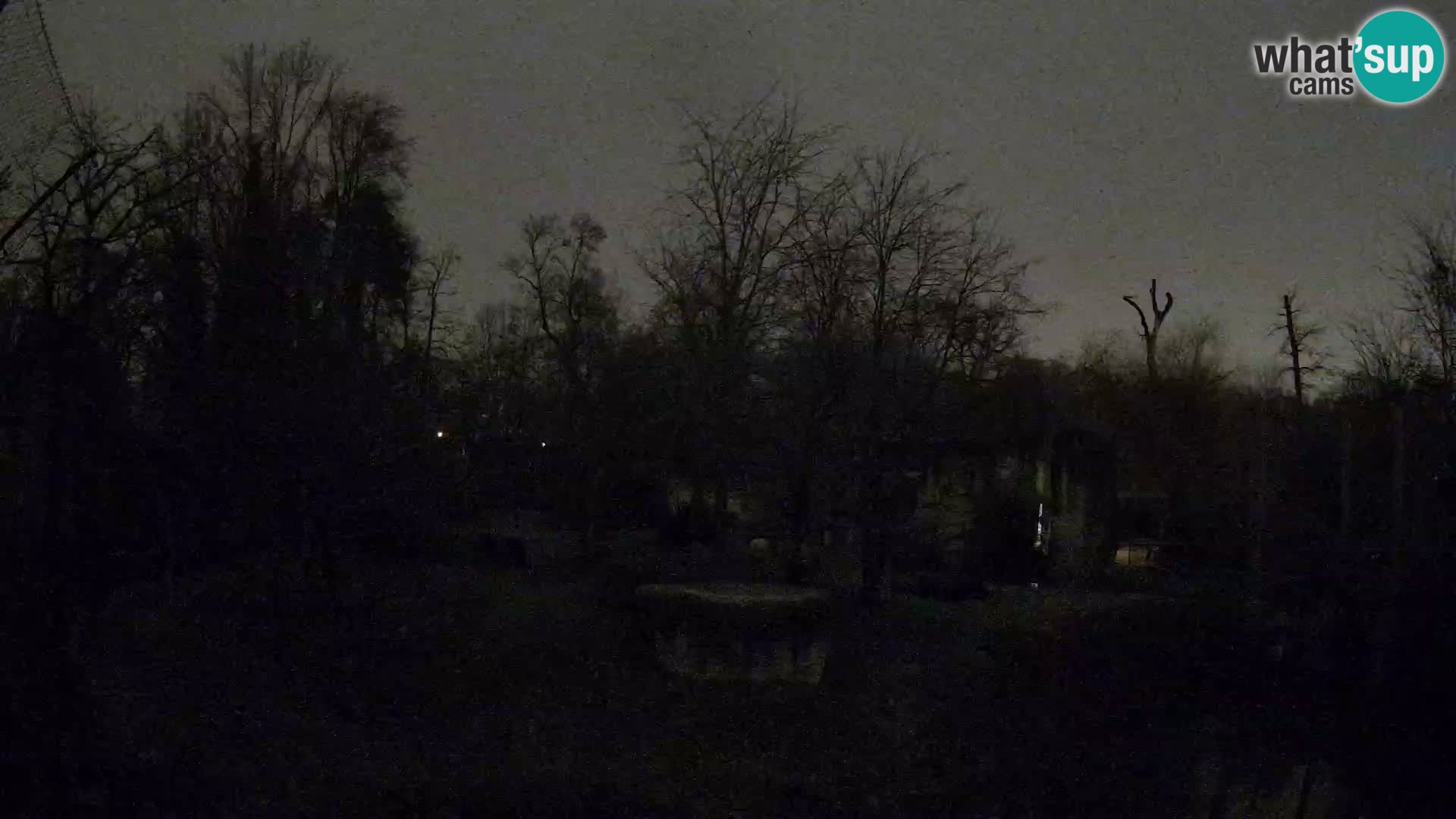 Zoo Zagreb – Löwen