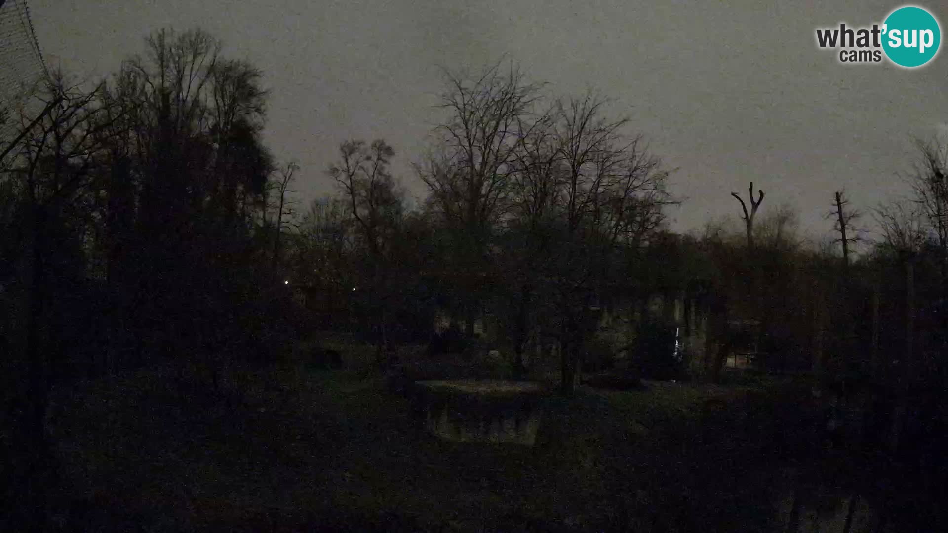 Zoo Zagreb – Lavovi