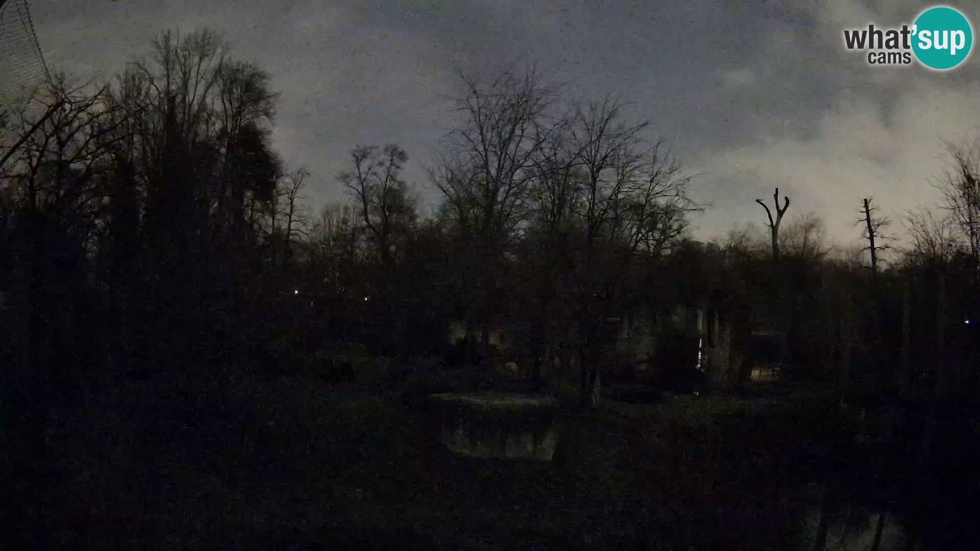 Spletna kamera Zoo Zagreb – Levi