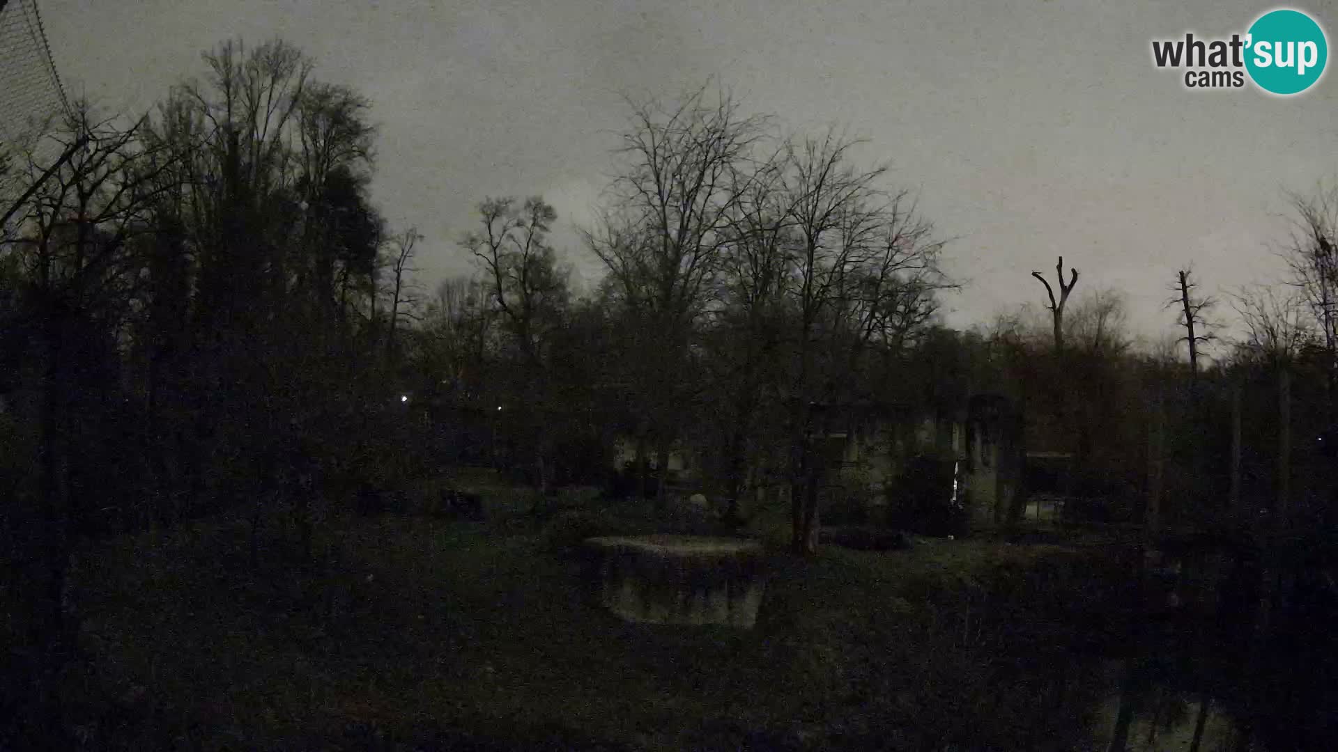 Zoo Zagreb – Lavovi