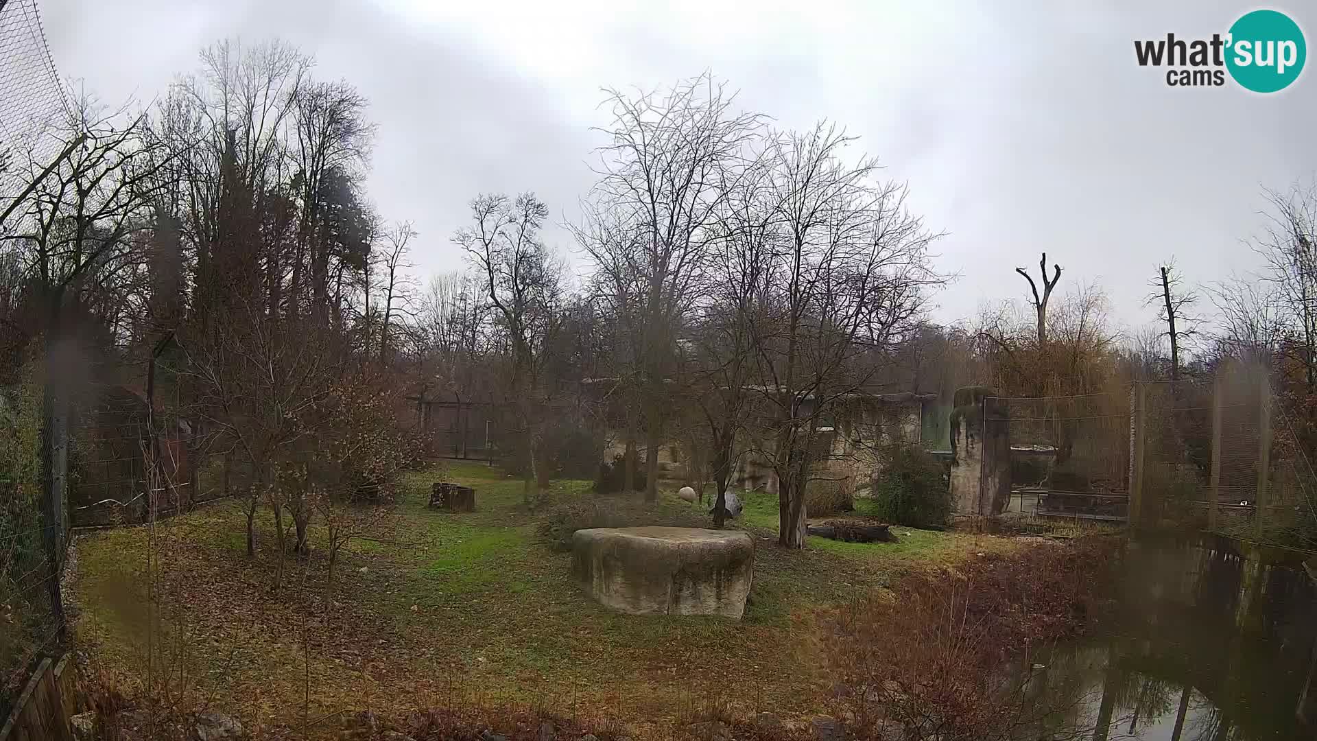 Zoo Zagreb – Leoni