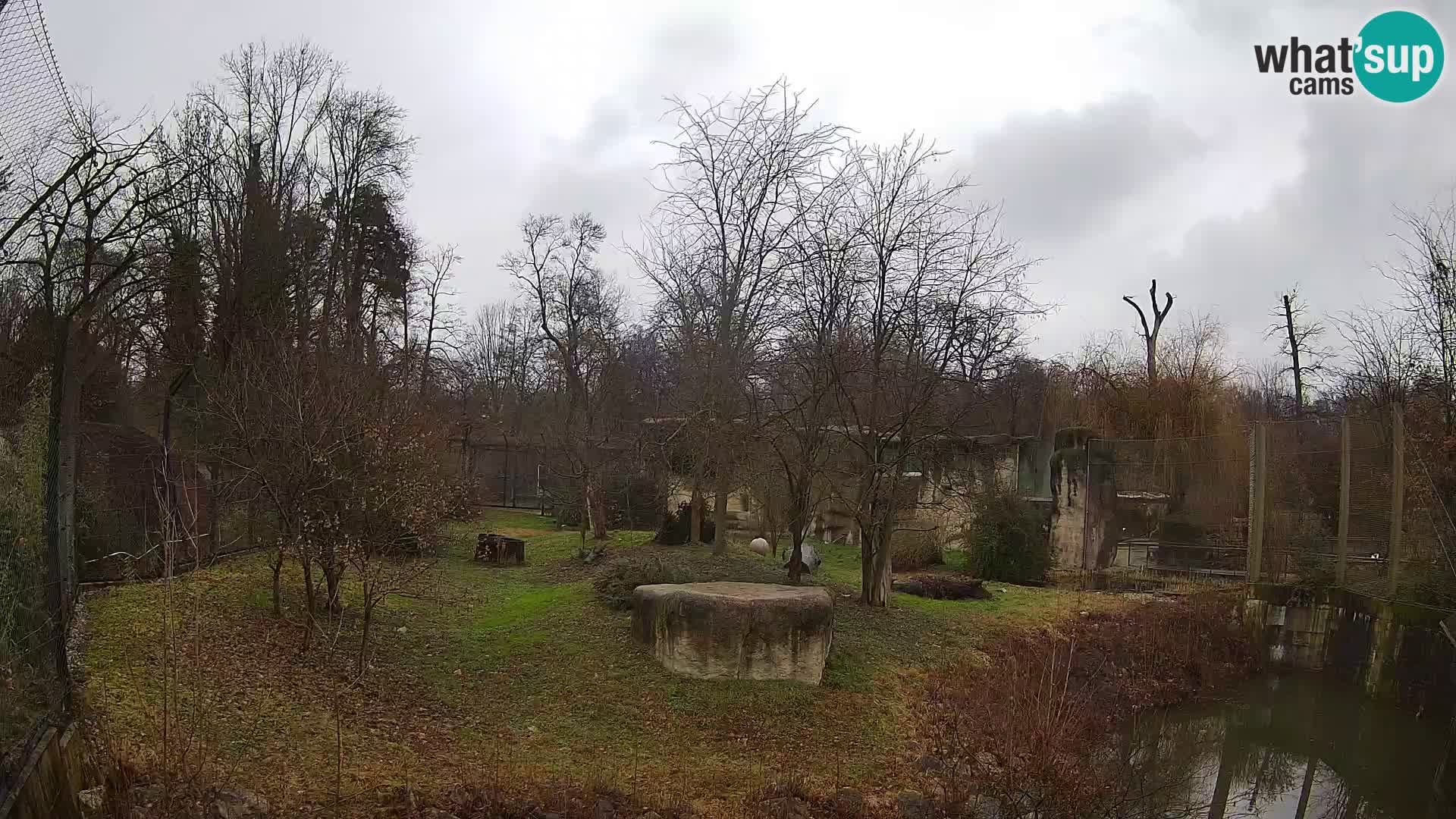 Zoo Zagreb – Leones