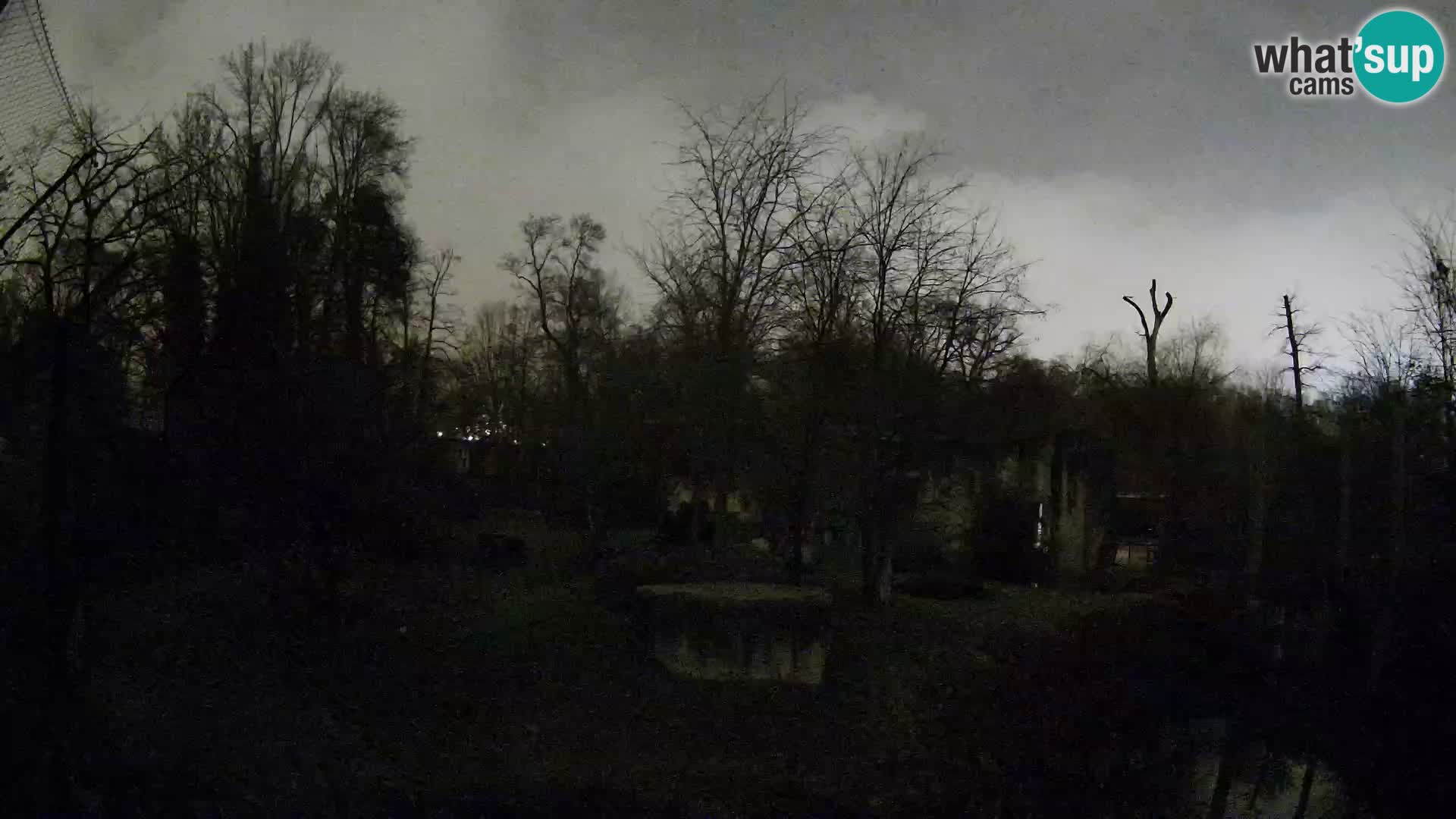 Zoo Zagreb – Leones