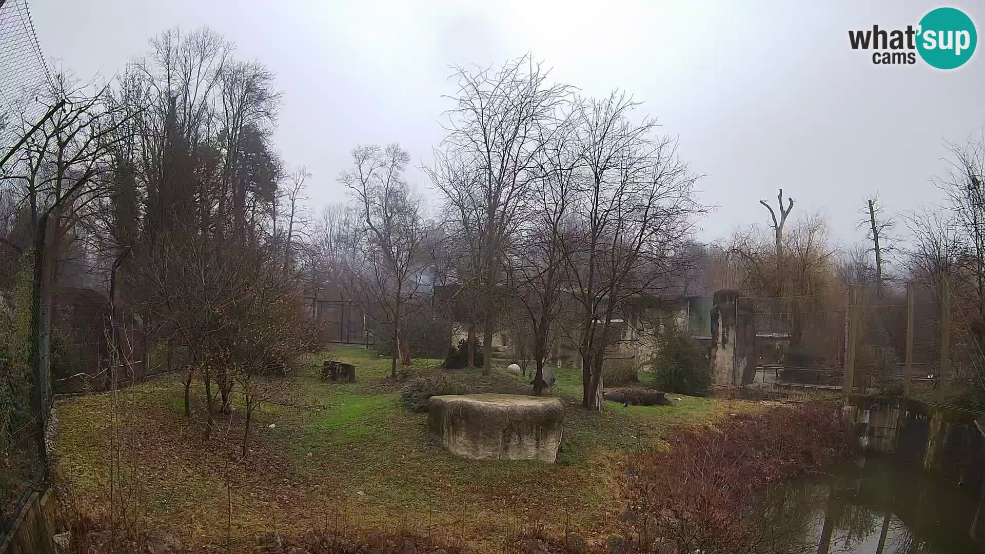 Zoo Zagreb – Leoni