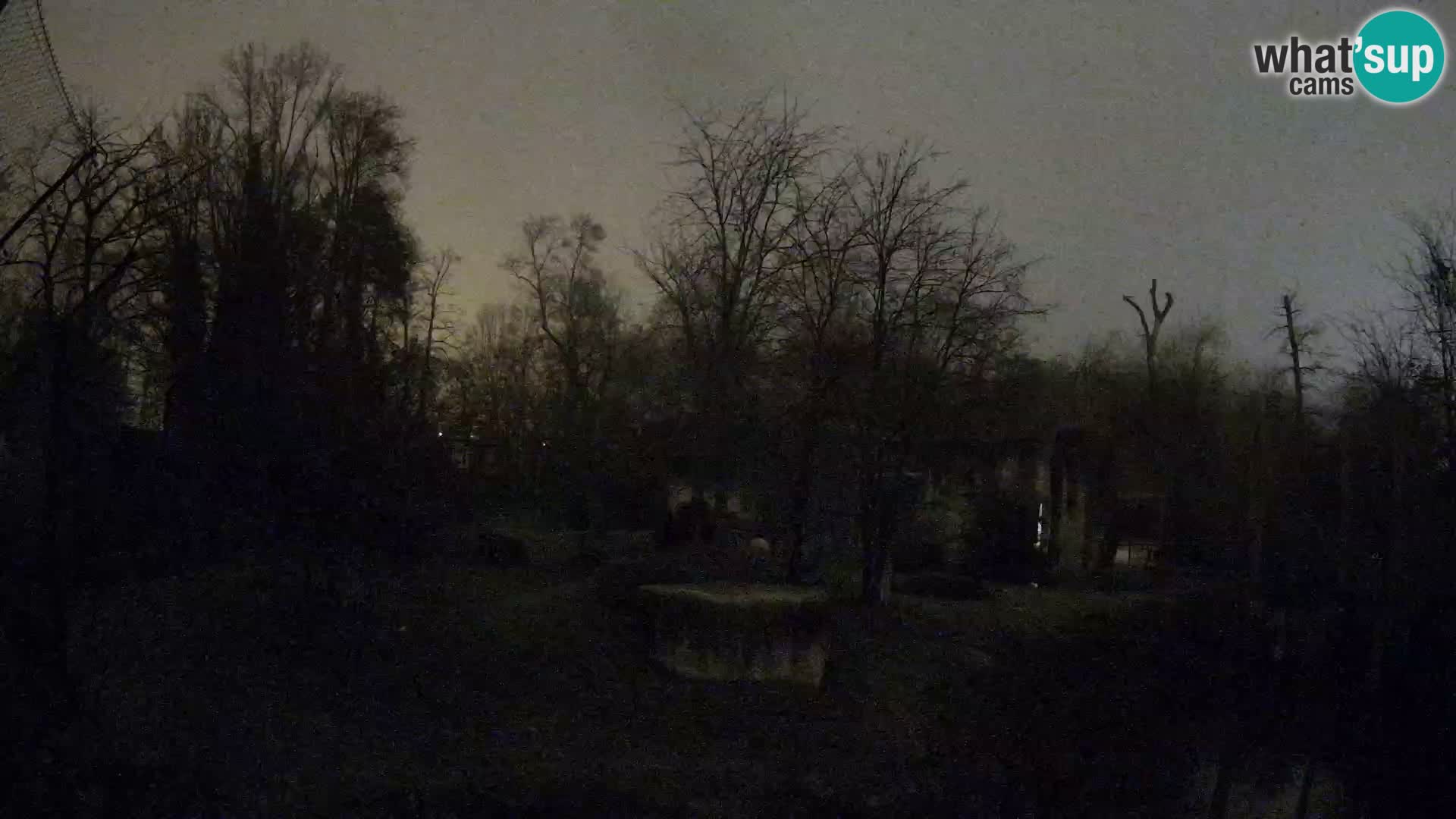 Zoo Zagreb – Löwen