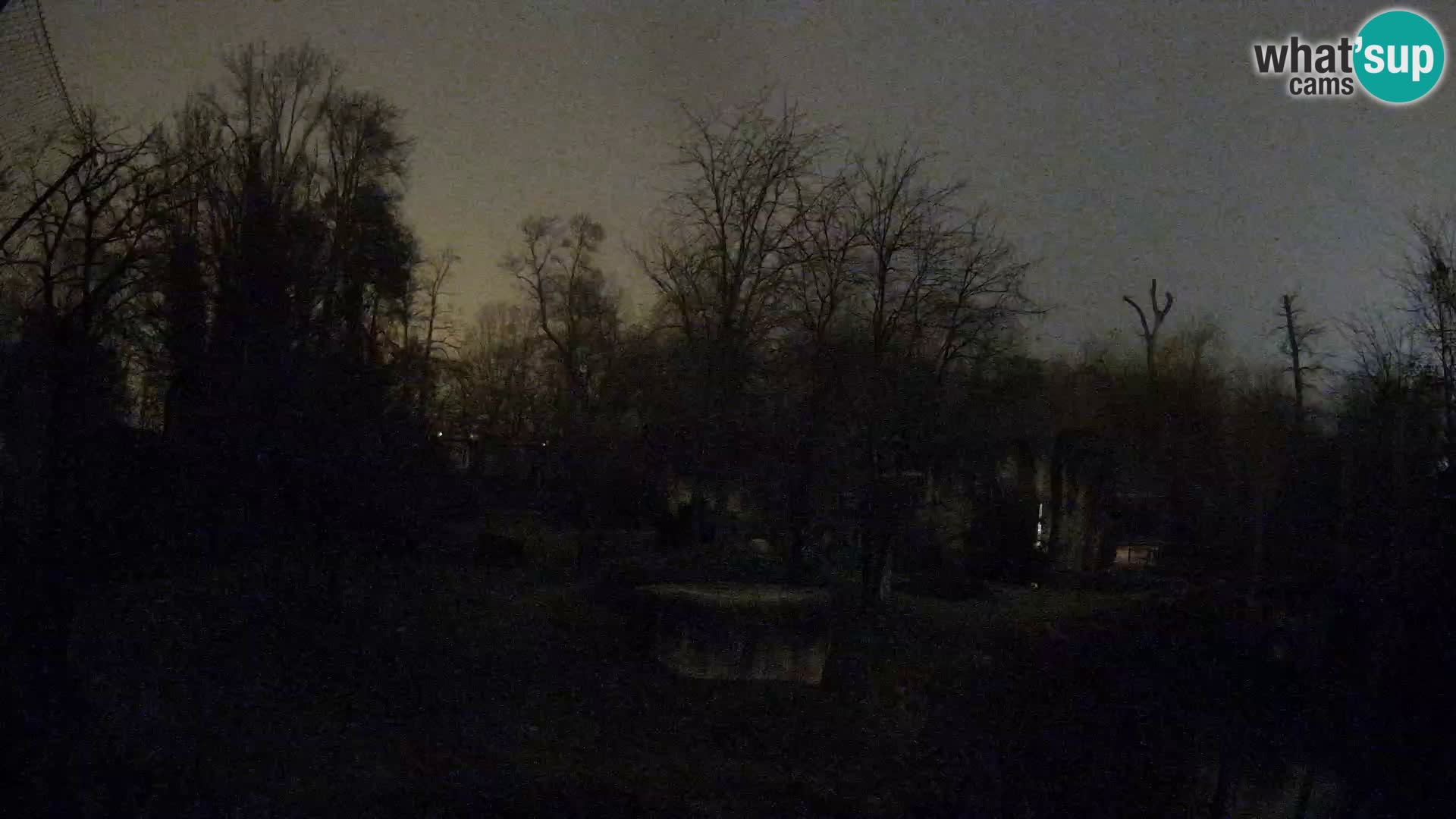 Zoo Zagreb – Löwen