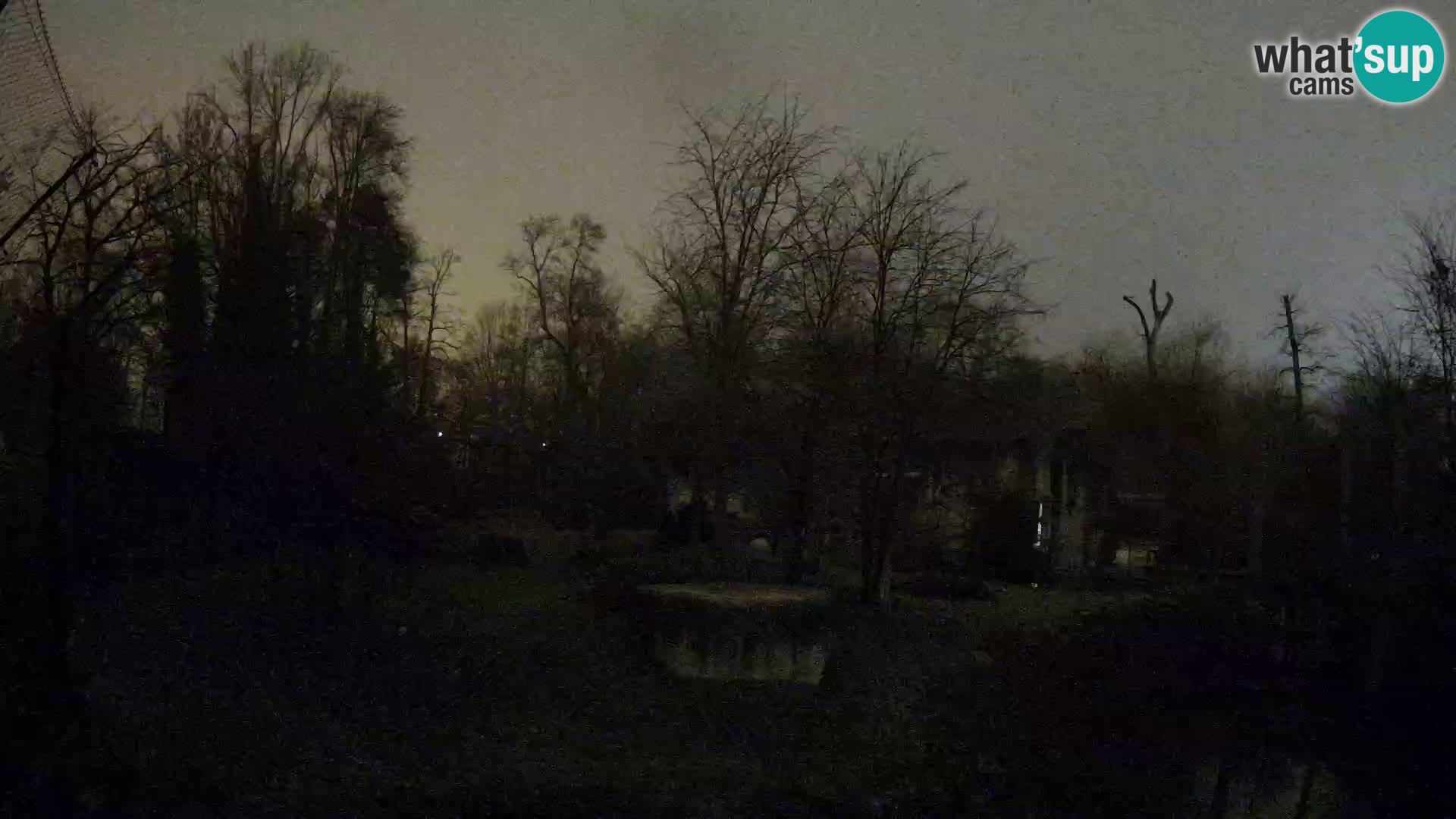 Zoo Zagreb – Leones