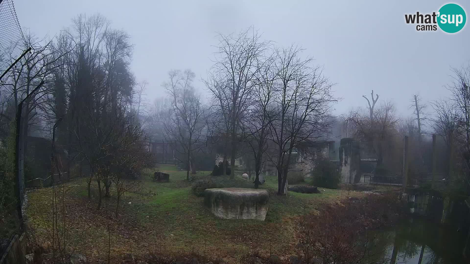 Zoo Zagreb – Löwen