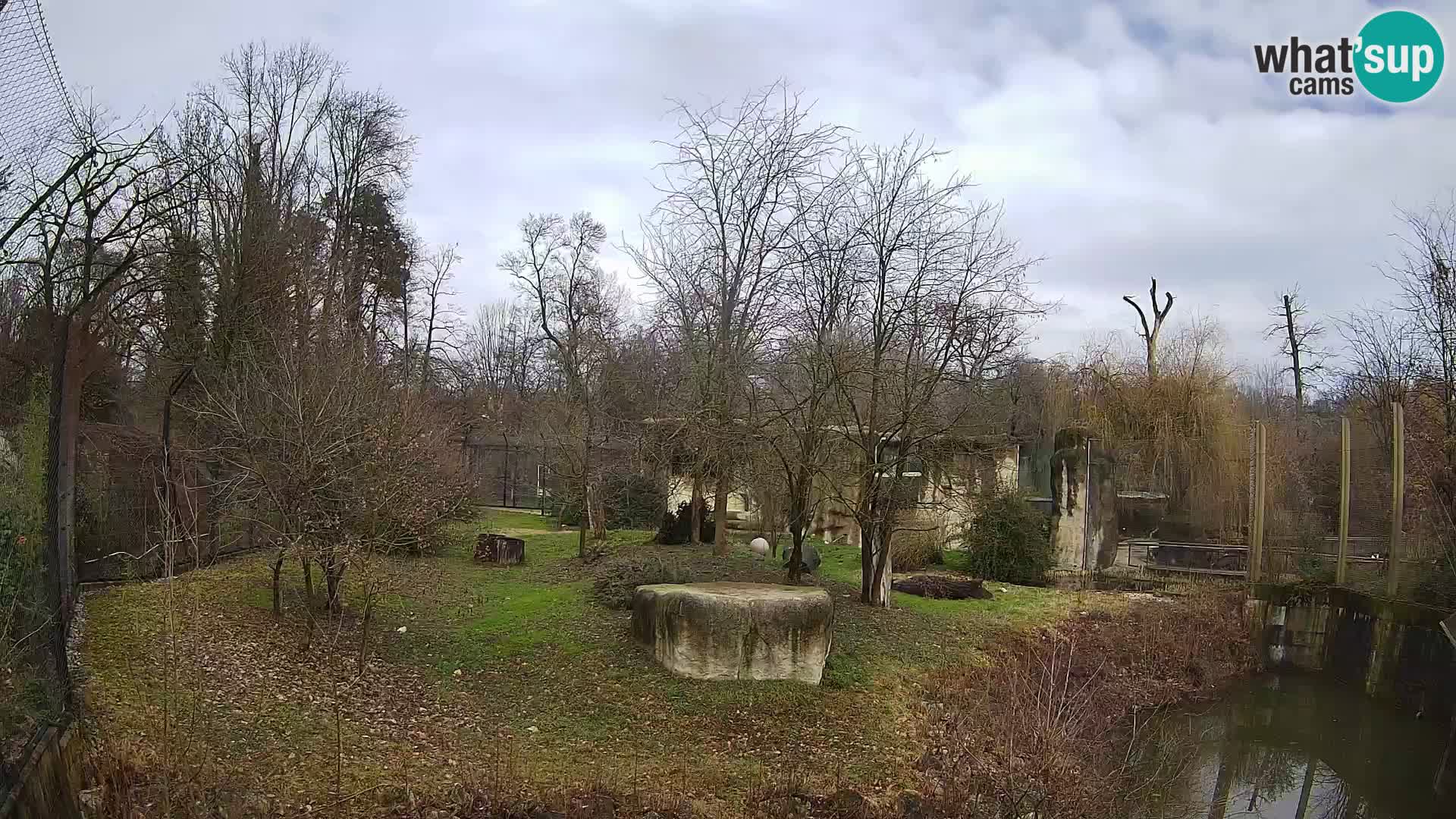 Zoo Zagreb – Lavovi