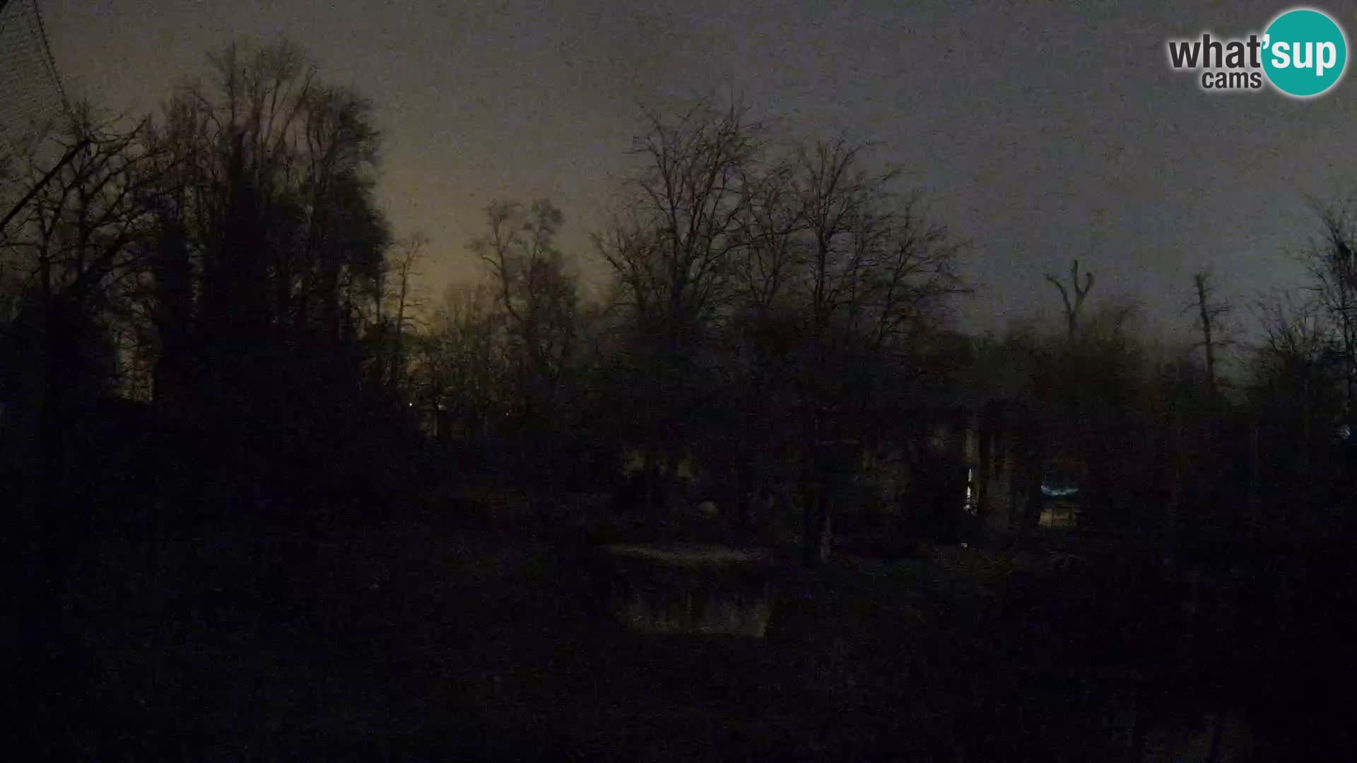 Zoo Zagreb – Löwen