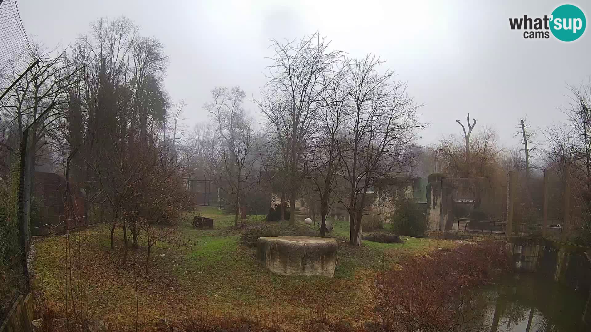 Zoo Zagreb – Löwen