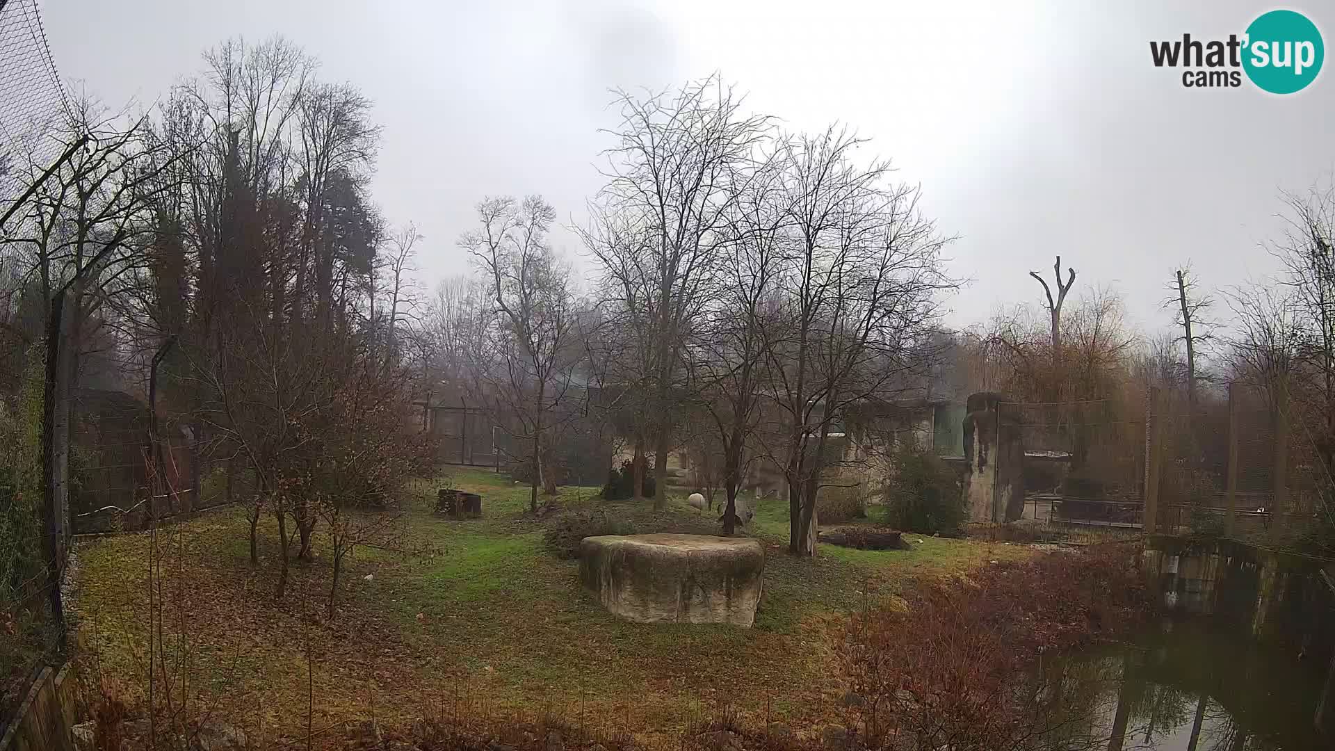 Zoo Zagreb – Leones