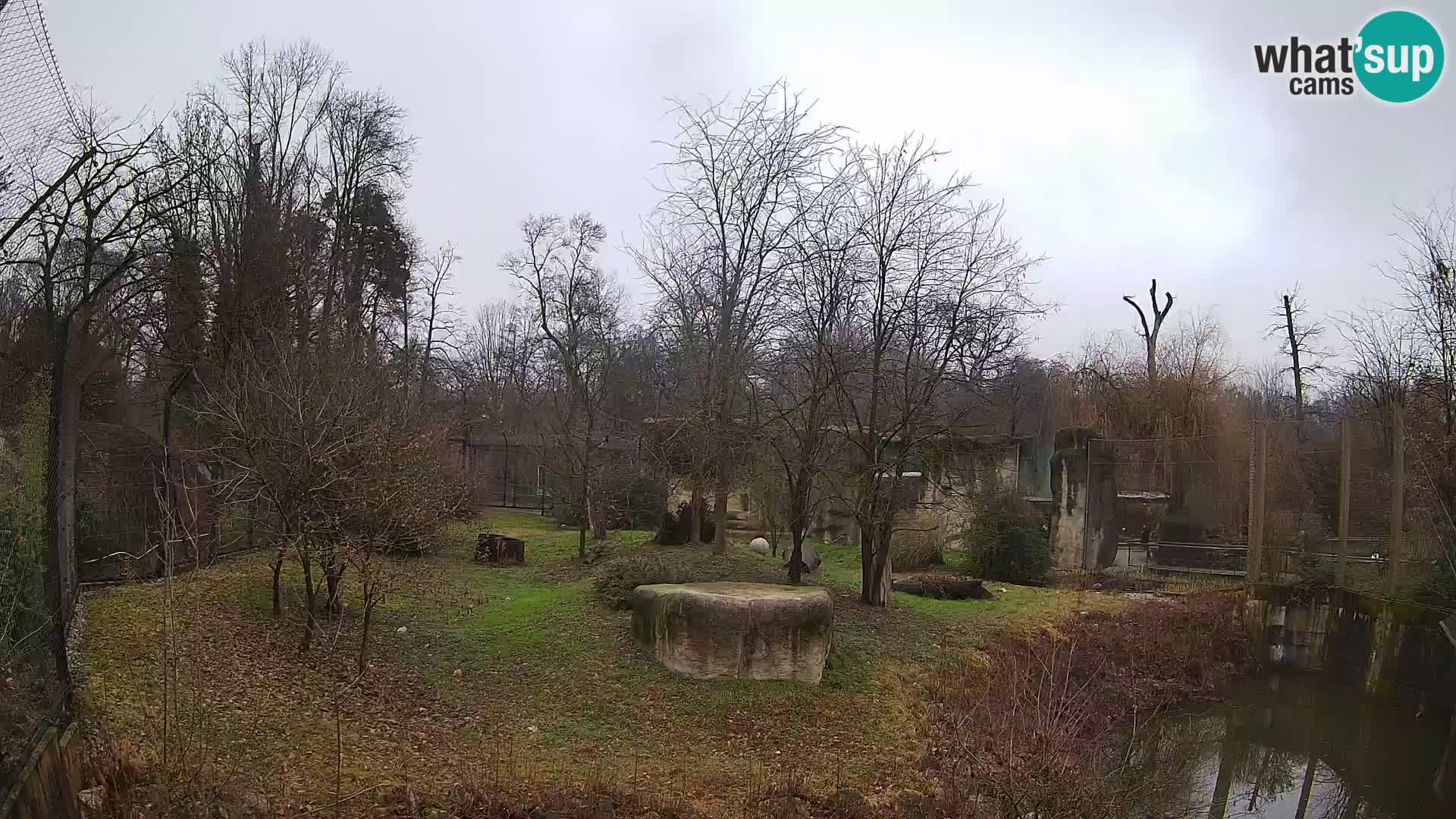 Zoo Zagreb – Leones