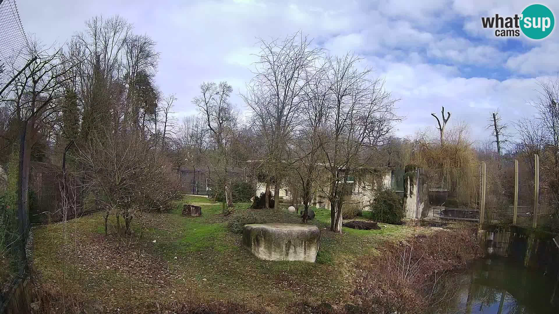 Zoo Zagreb – Lavovi