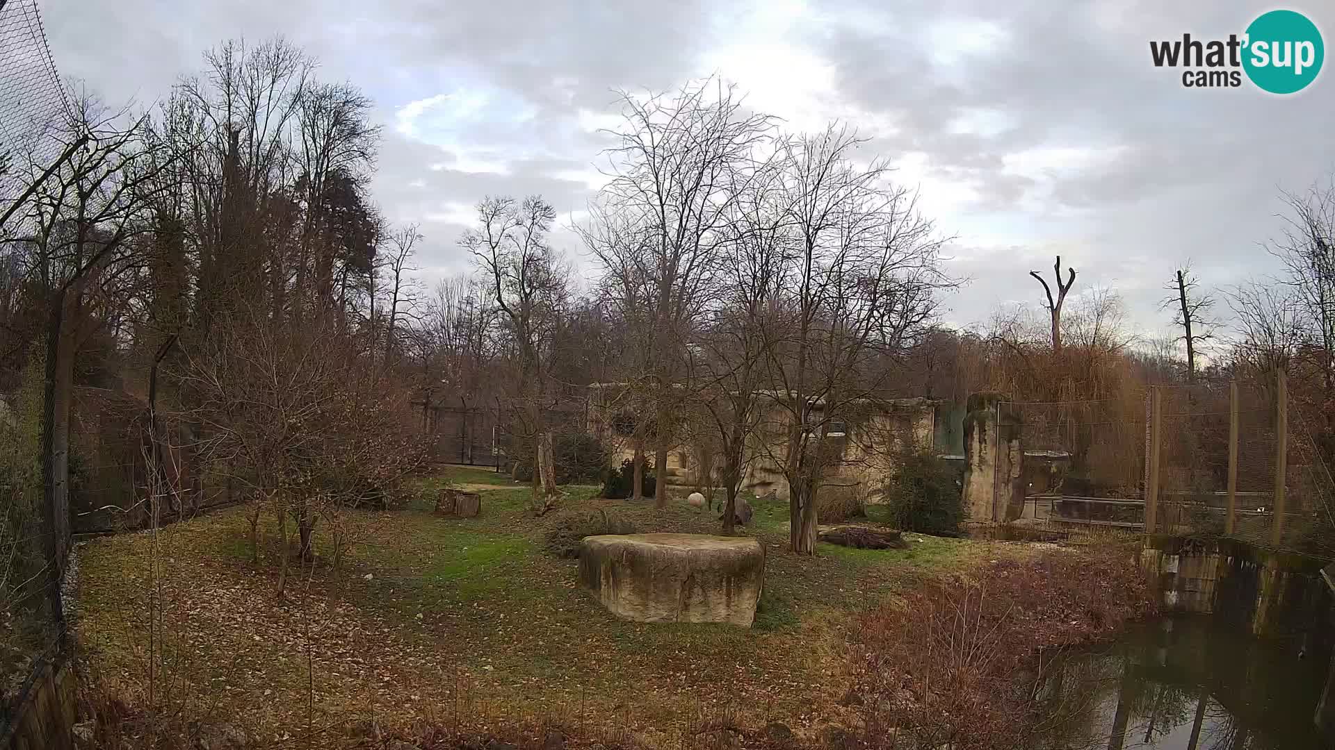 Zoo Zagreb – Leoni