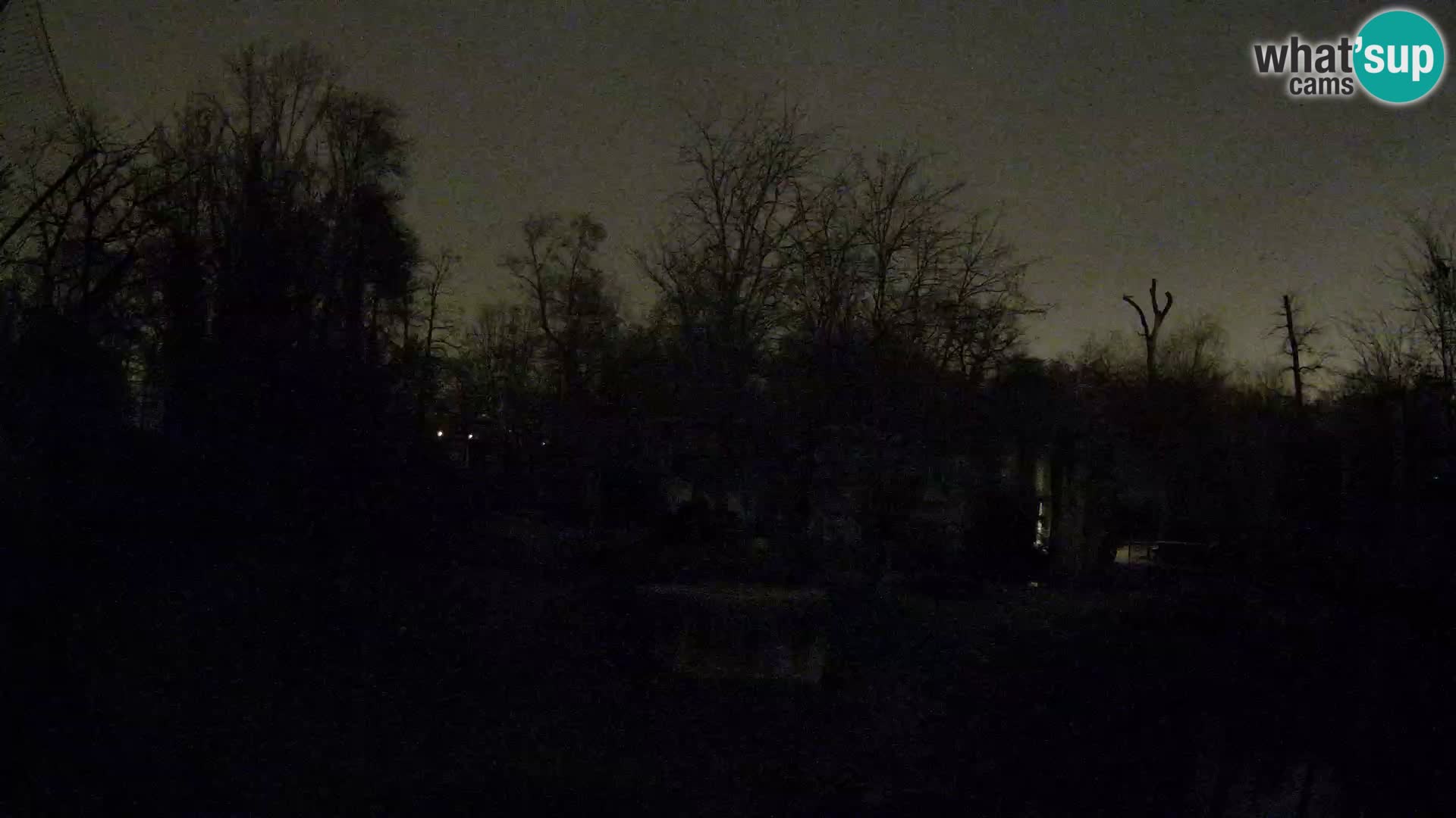 Zoo Zagreb – Lavovi