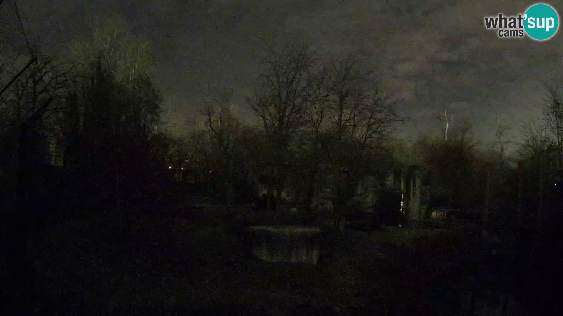 Zoo Zagreb – Leones