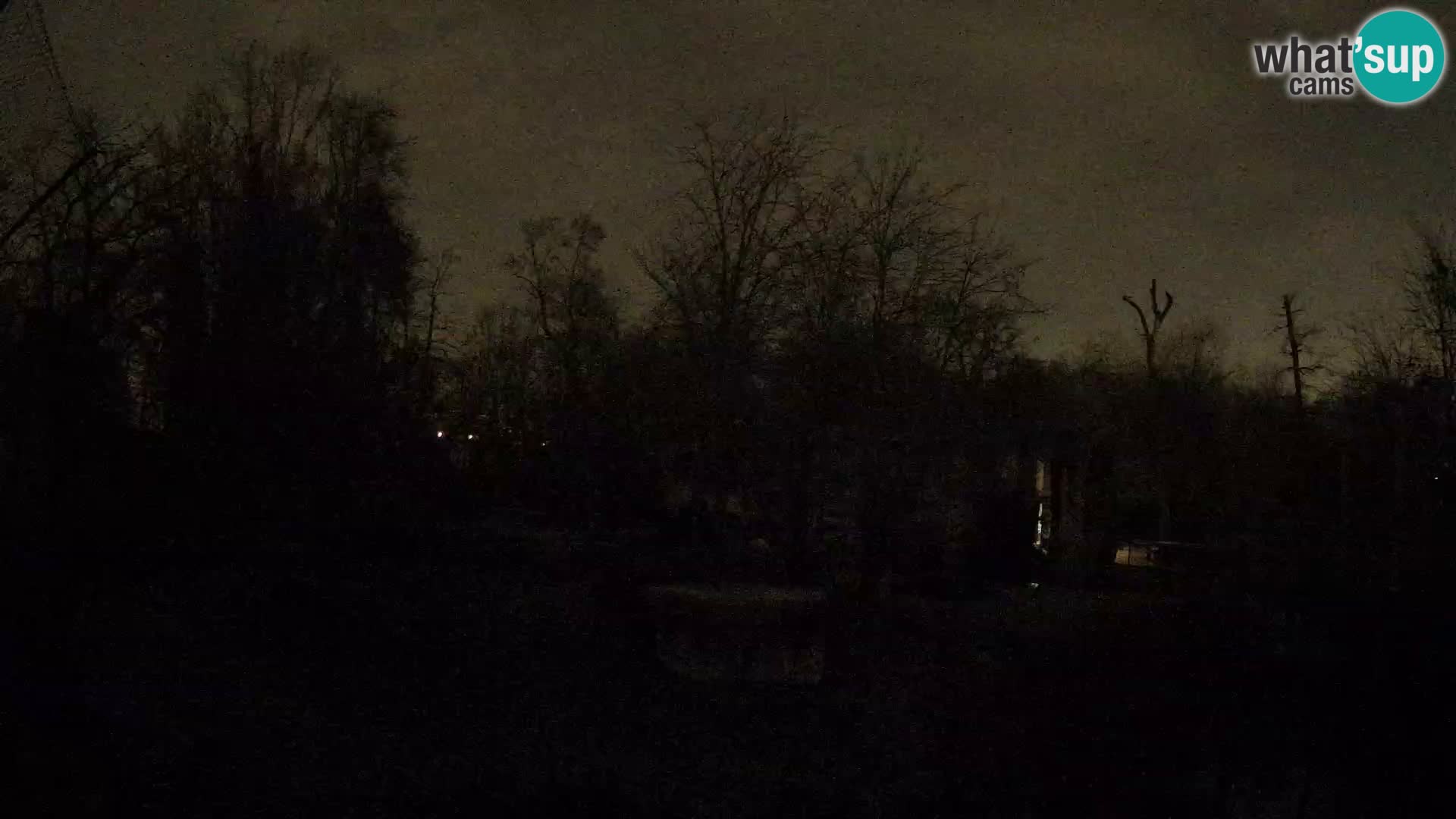 Zoo Zagreb – Leoni