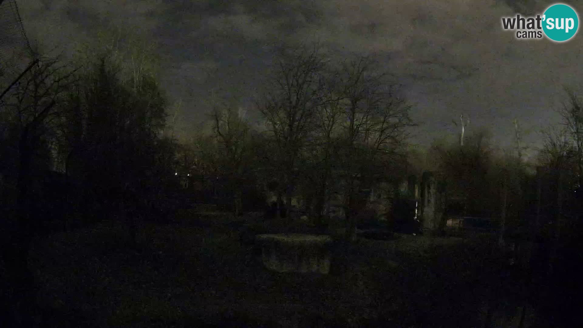 Zoo Zagreb – Lavovi