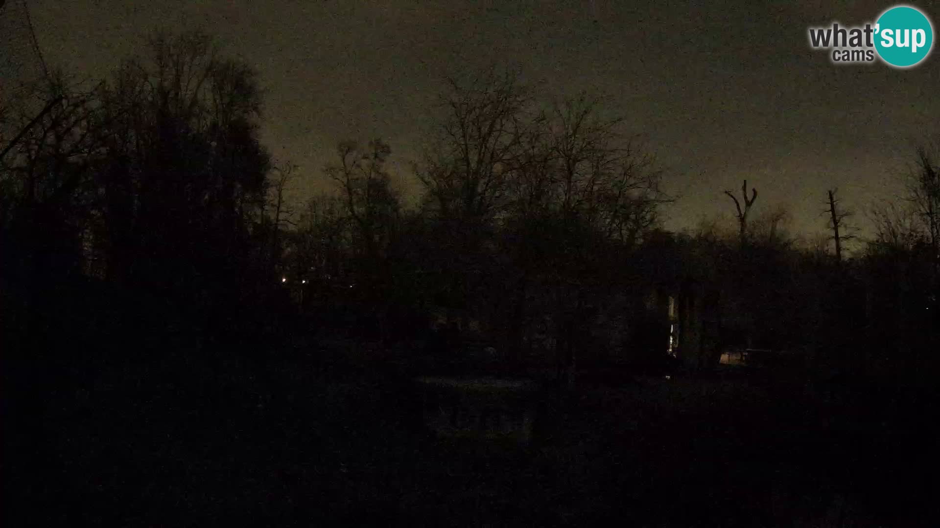 Zoo Zagreb – Leones