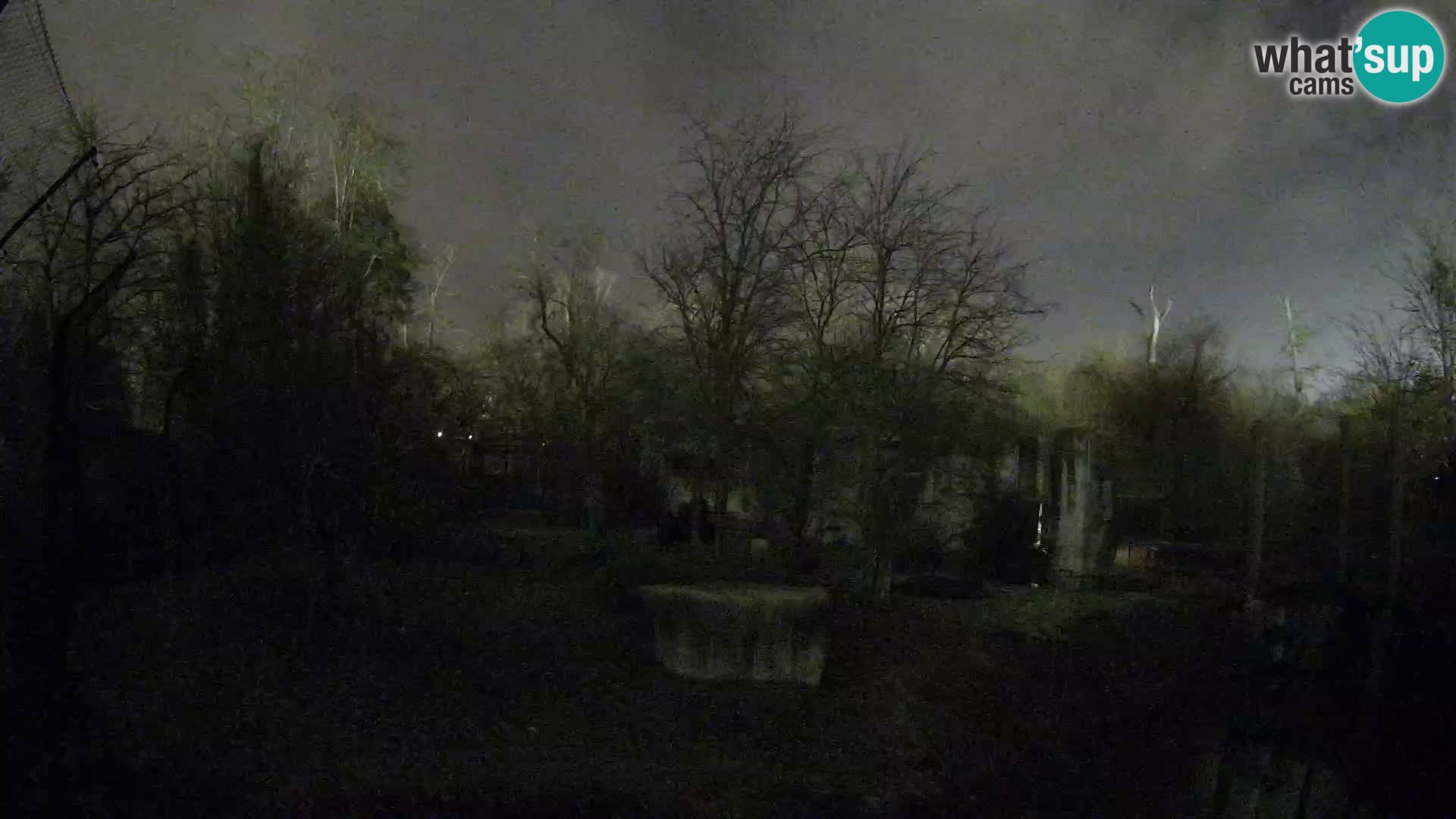 Zoo Zagreb – Lavovi