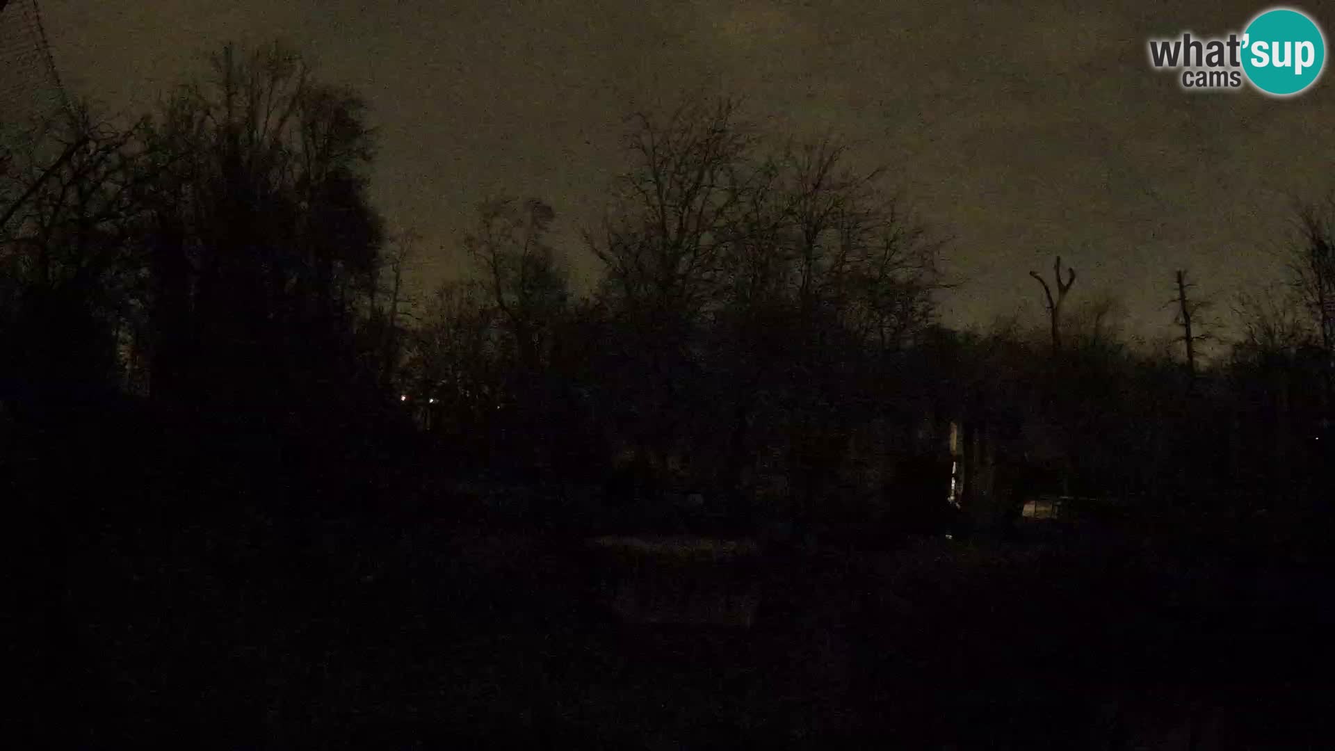 Zoo Zagreb – Leoni