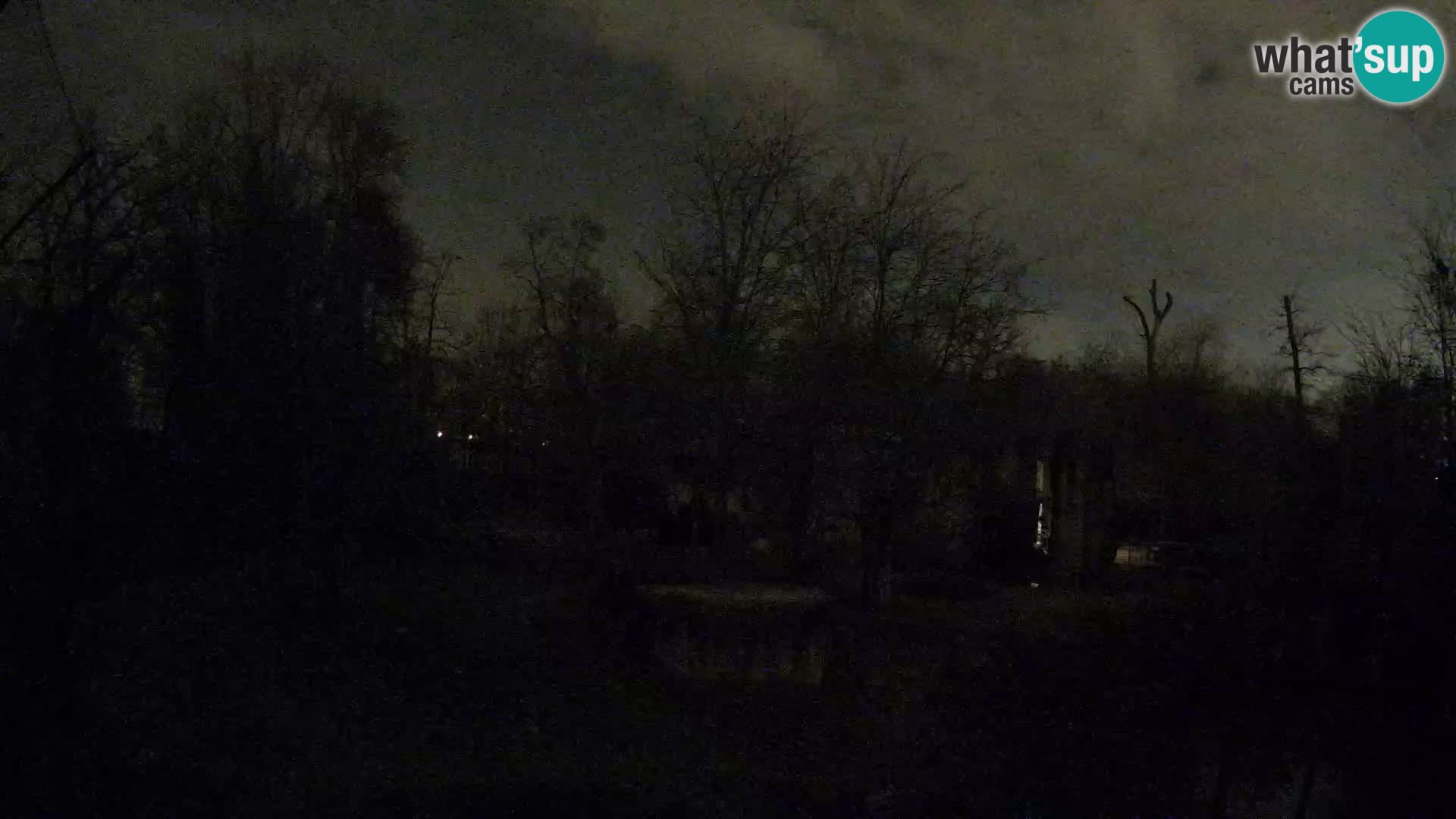 Zoo Zagreb – Löwen