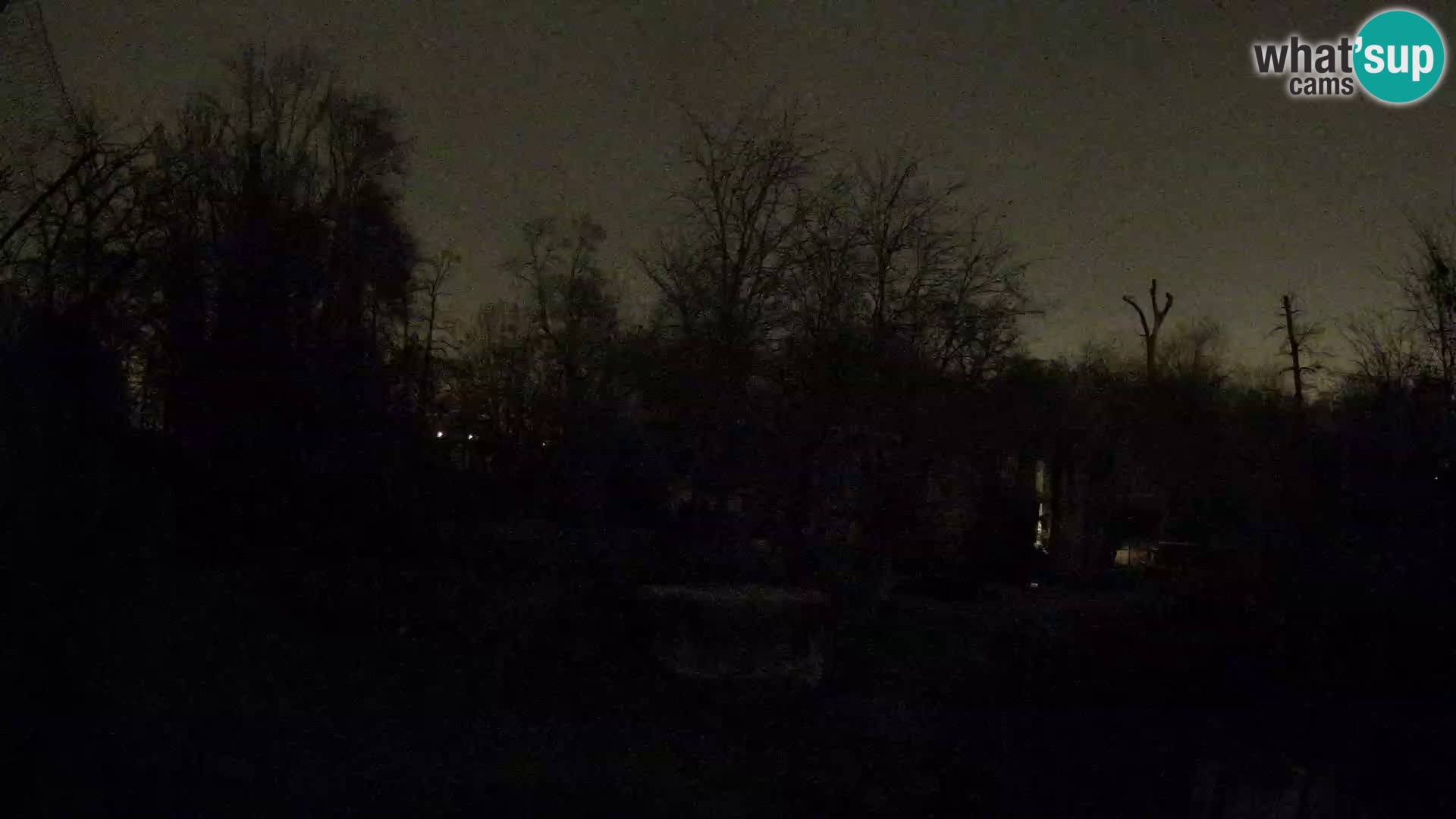 Zoo Zagreb – Lavovi