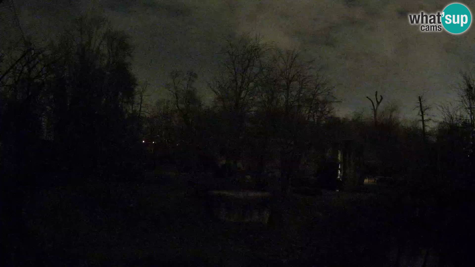 Zoo Zagreb – Leones