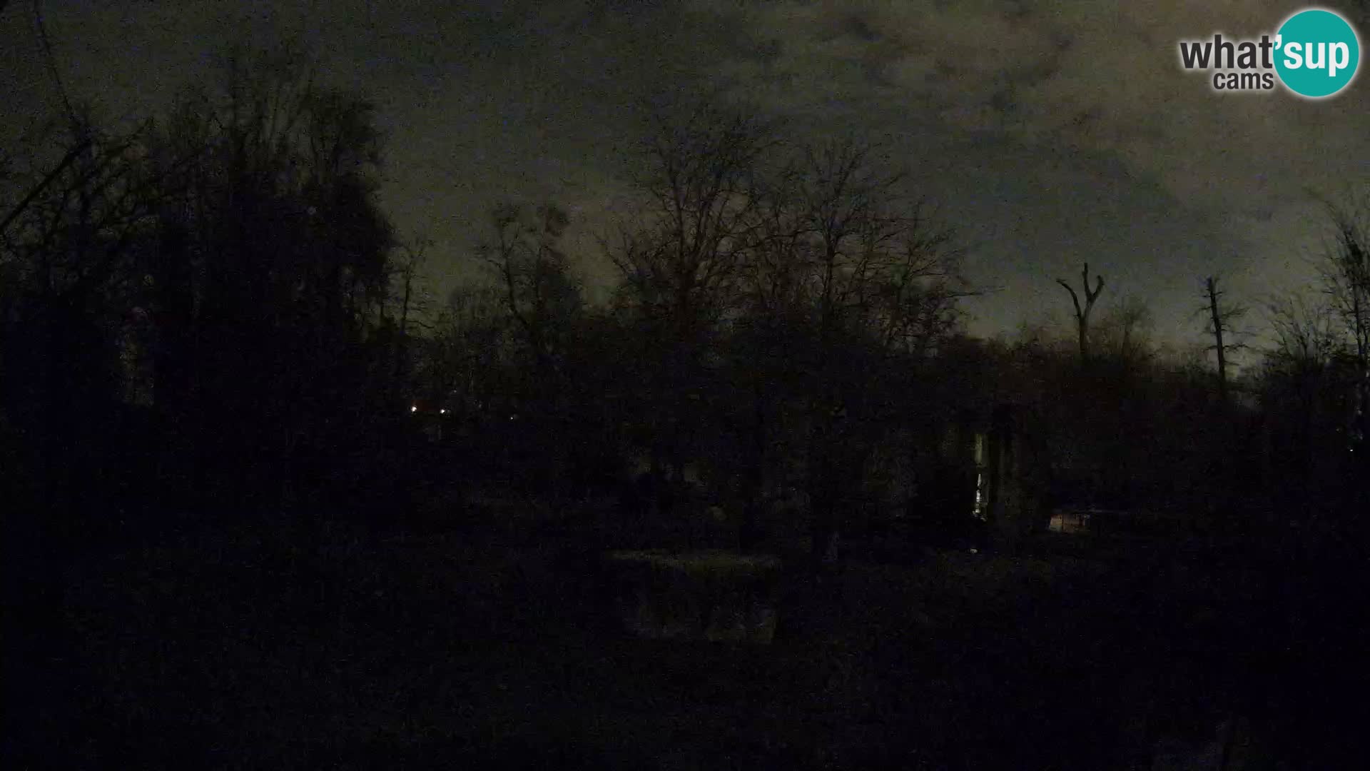 Zoo Zagreb – Löwen