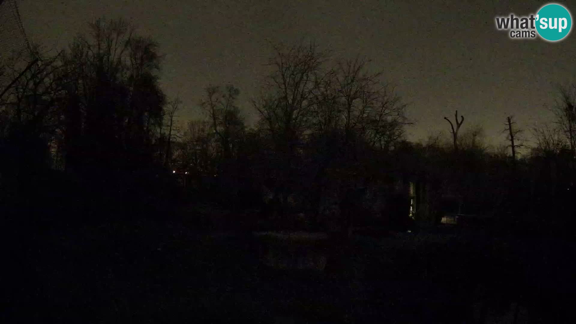 Zoo Zagreb – Leones