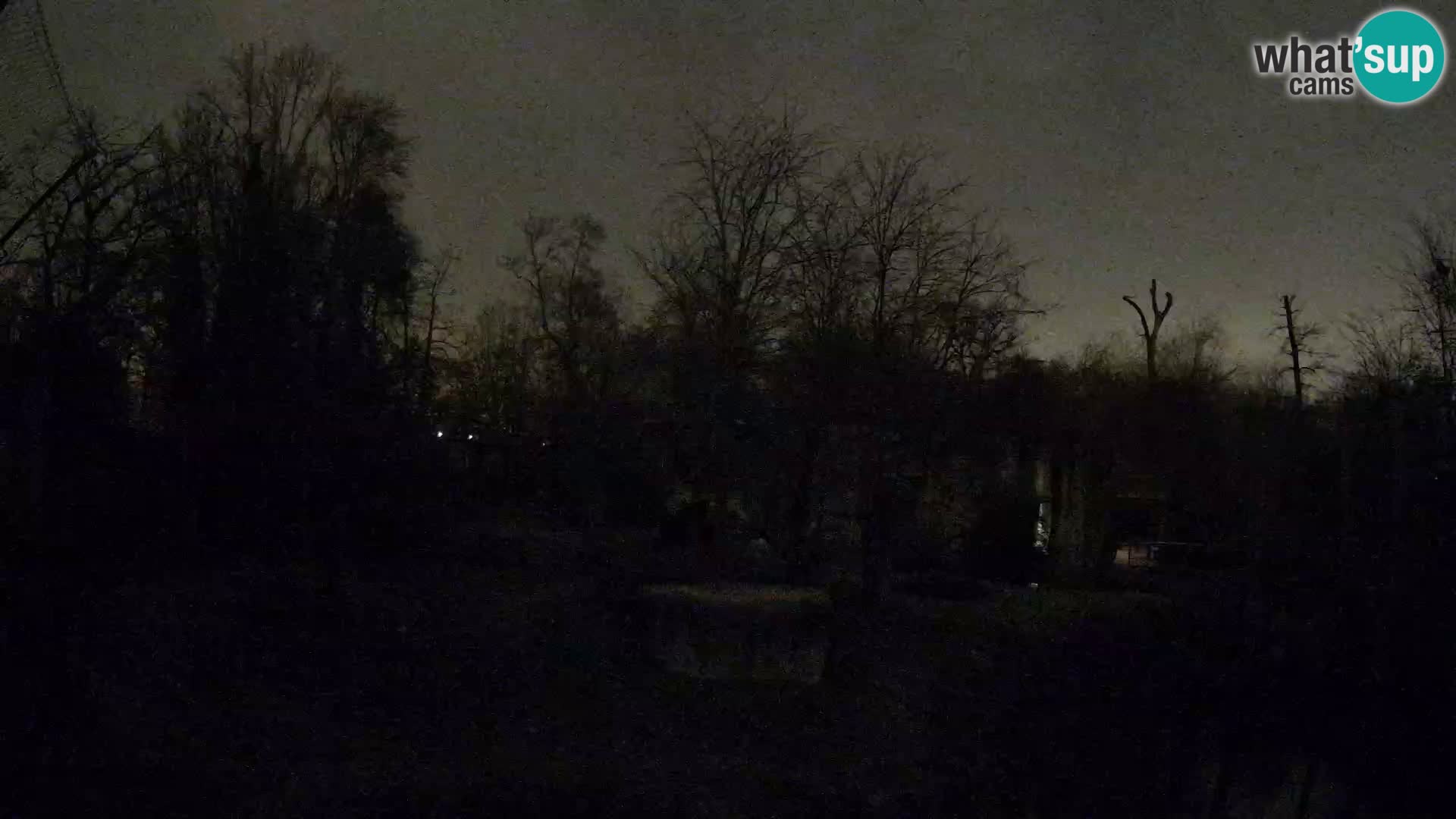 Zoo Zagreb – Leones