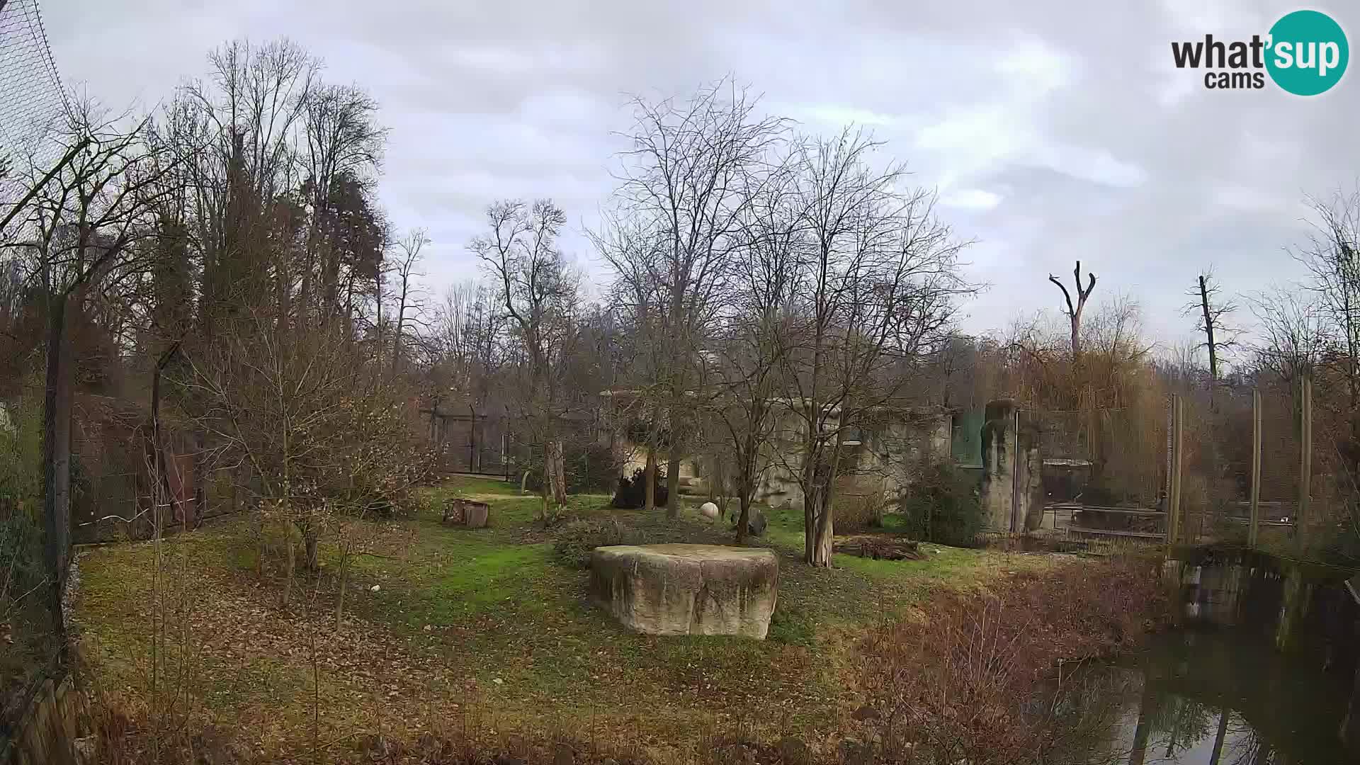 Spletna kamera Zoo Zagreb – Levi
