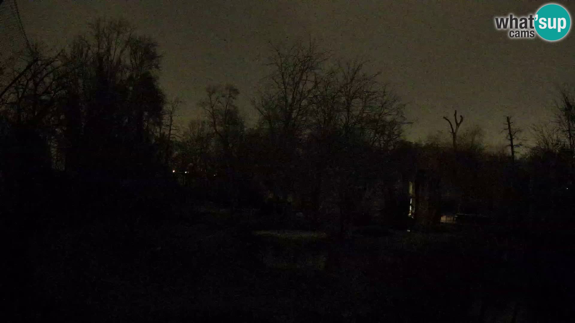 Zoo Zagreb – Leoni