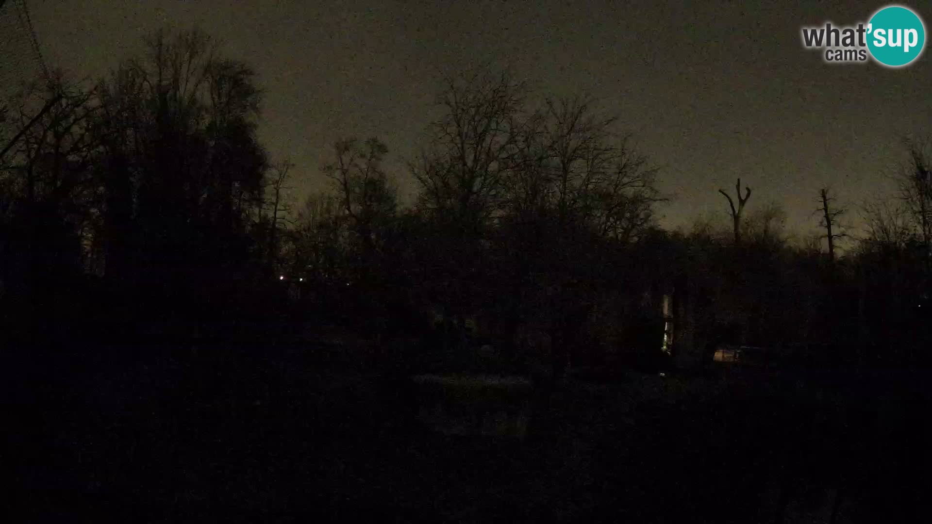 Zoo Zagreb – Leones