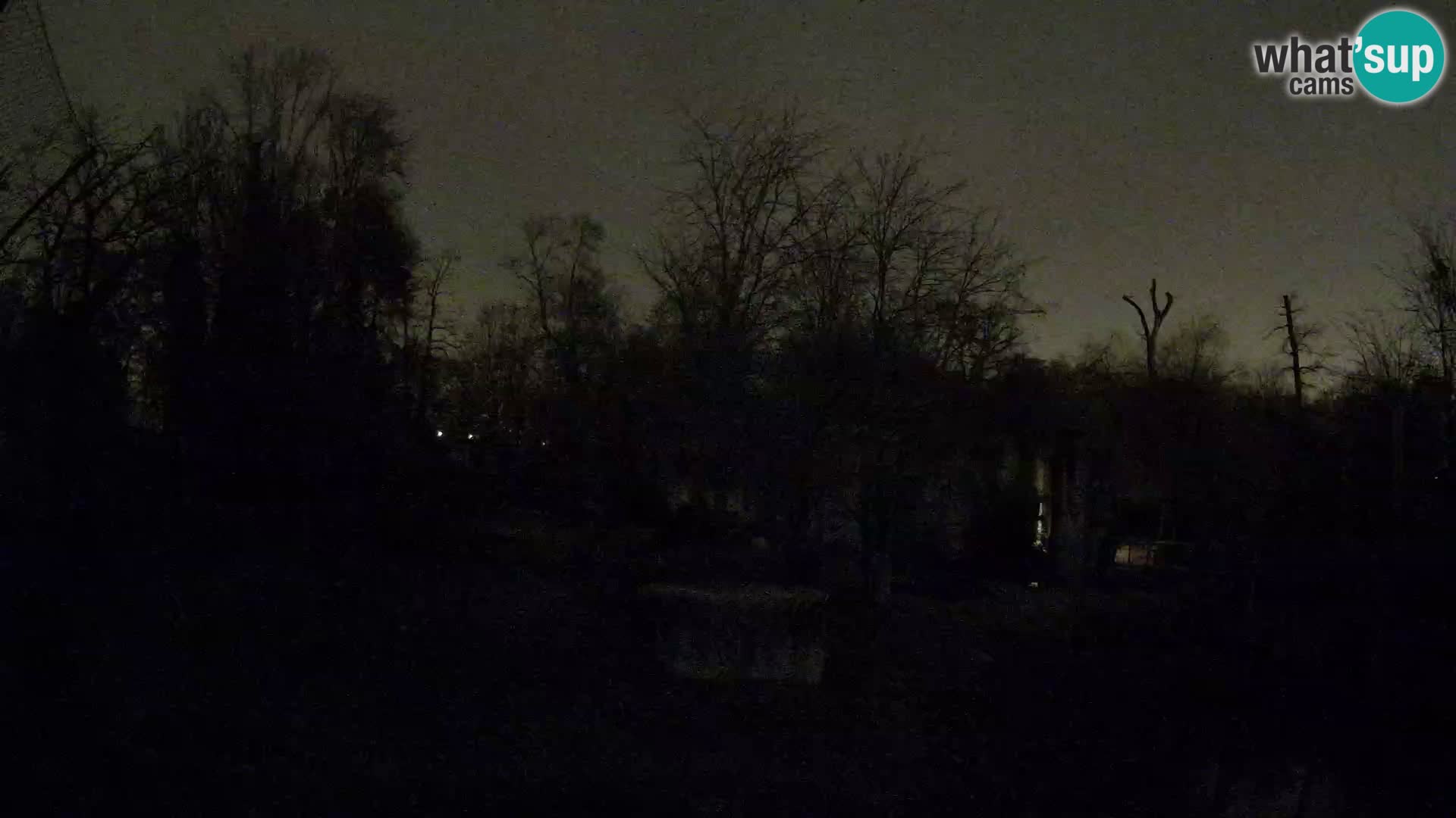 Zoo Zagreb – Löwen