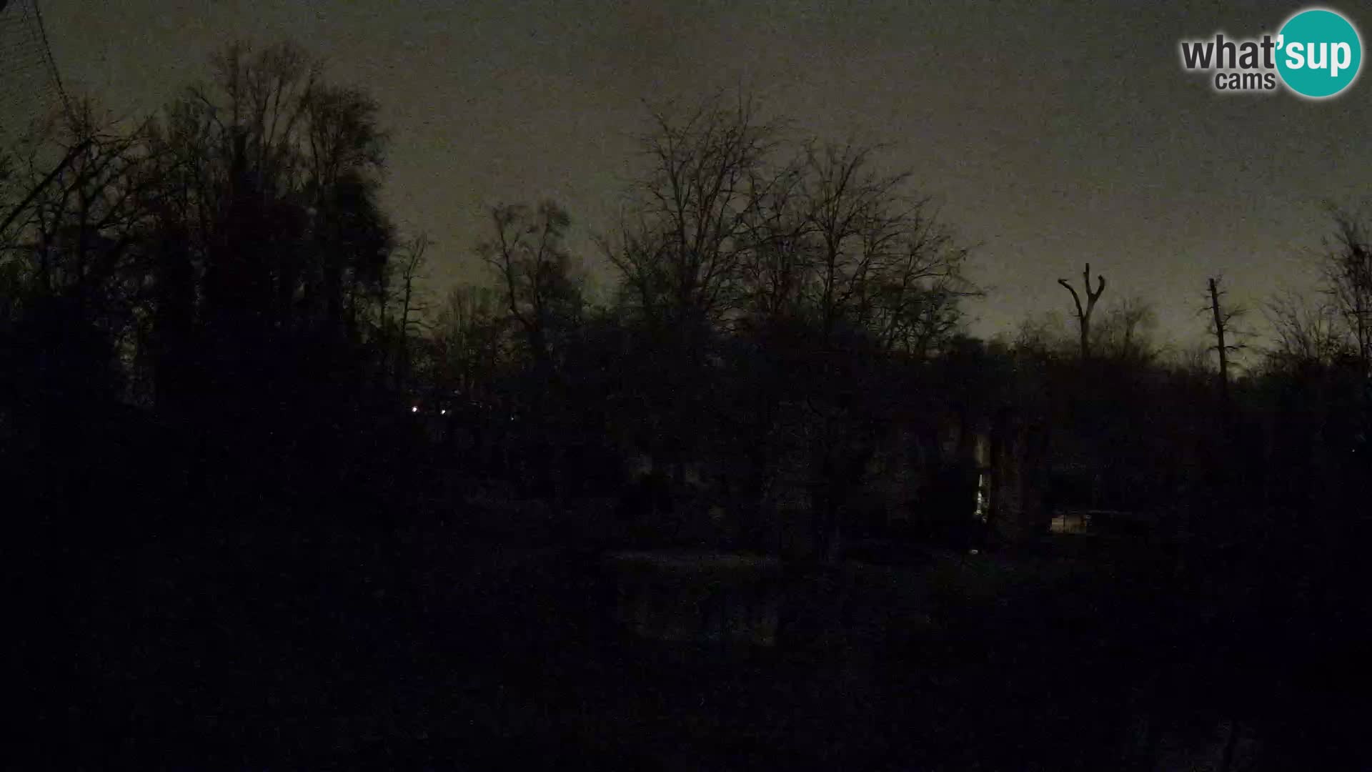 Zoo Zagreb – Löwen