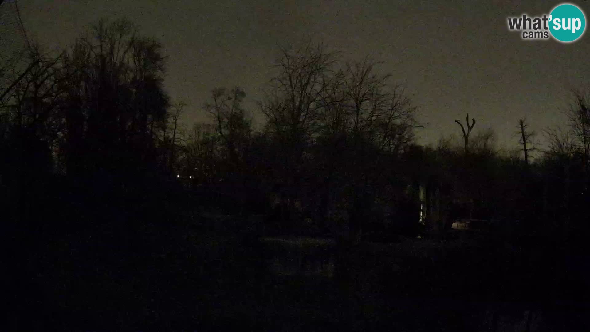 Zoo Zagreb – Löwen